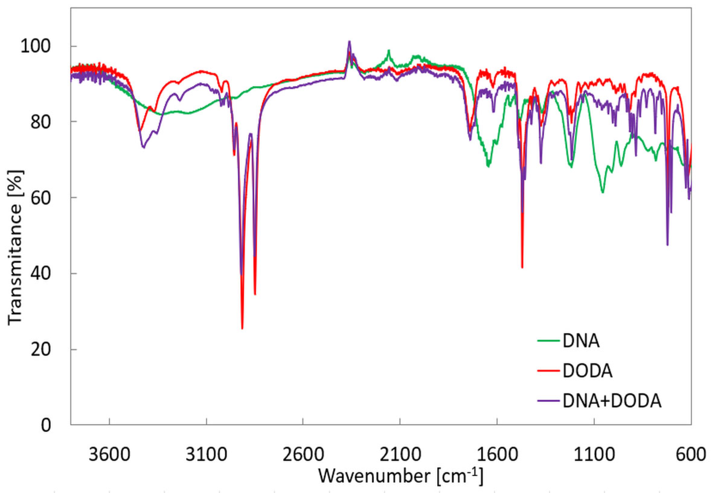 Polymers 16 02114 g006