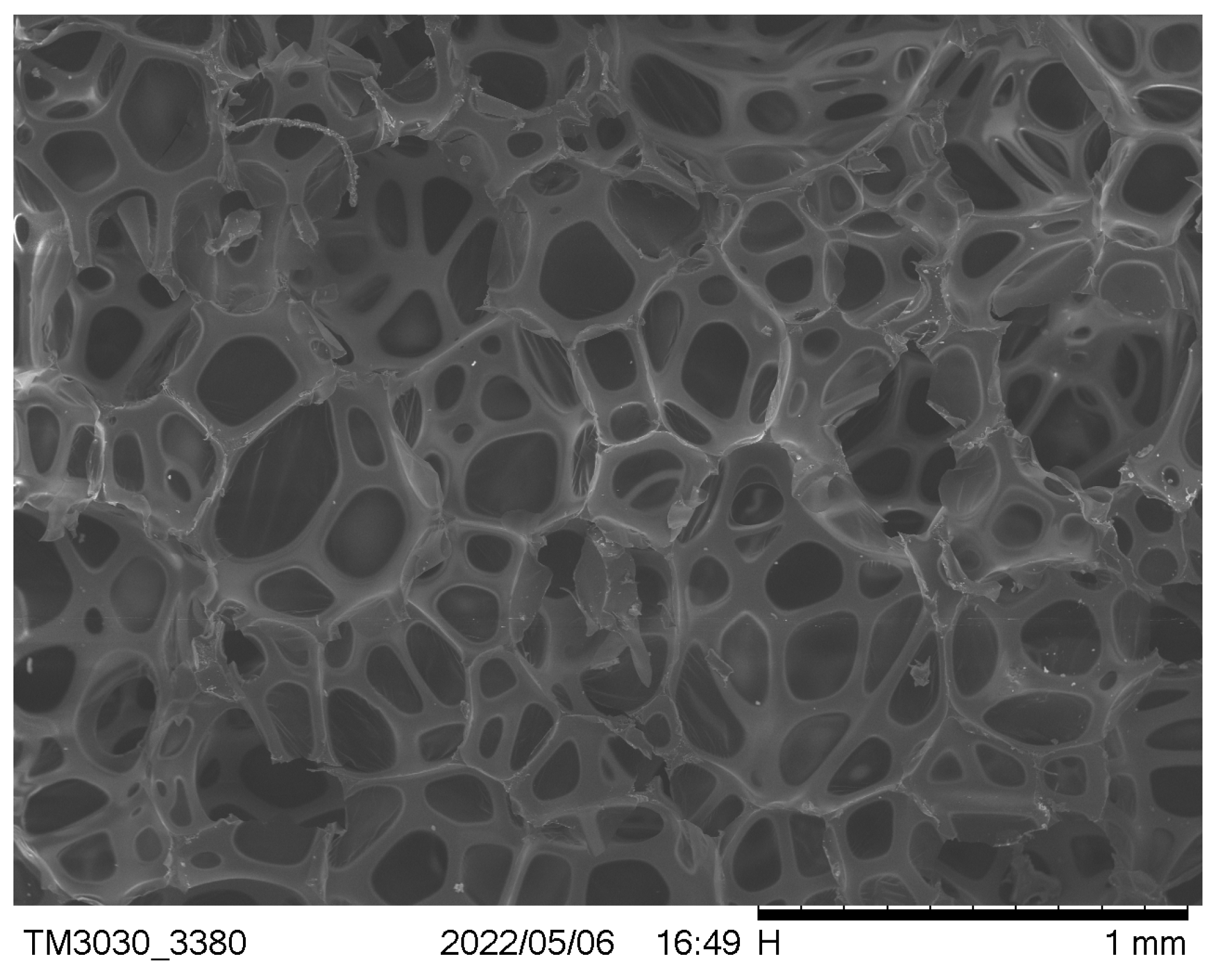 Polymers 16 02122 g003 Polymers 16 02122 g003