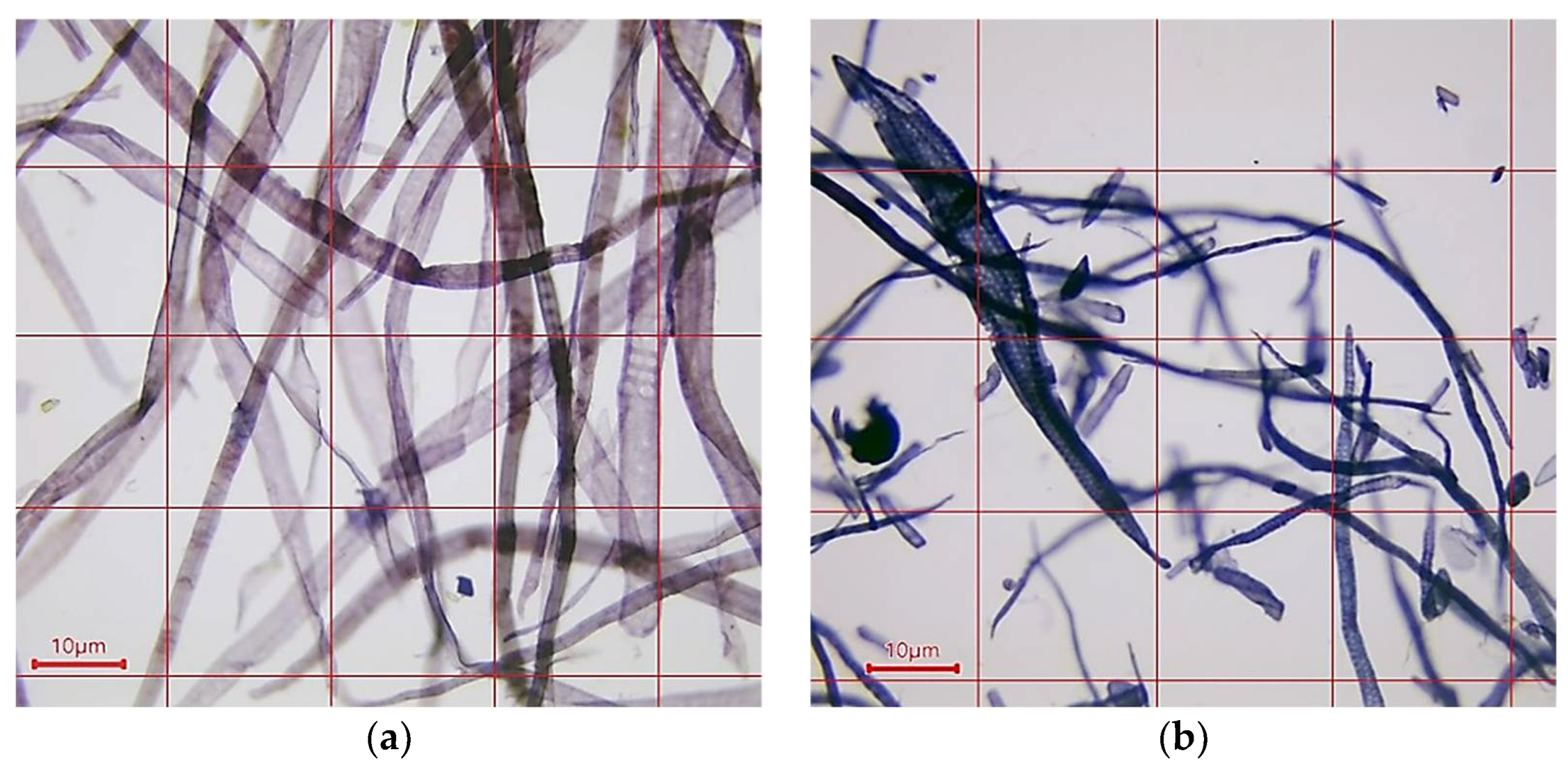Polymers 16 02127 g001
