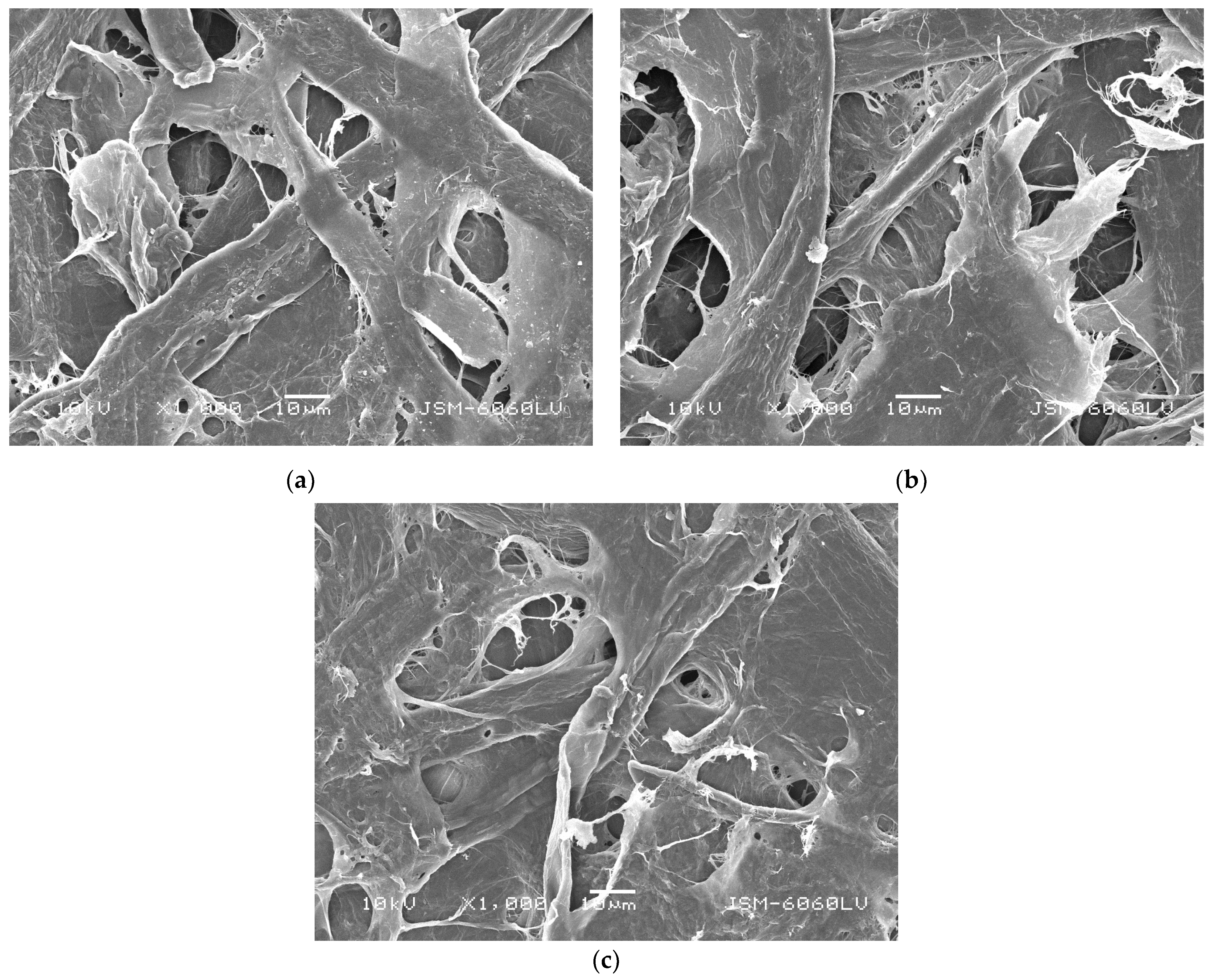 Polymers 16 02127 g003