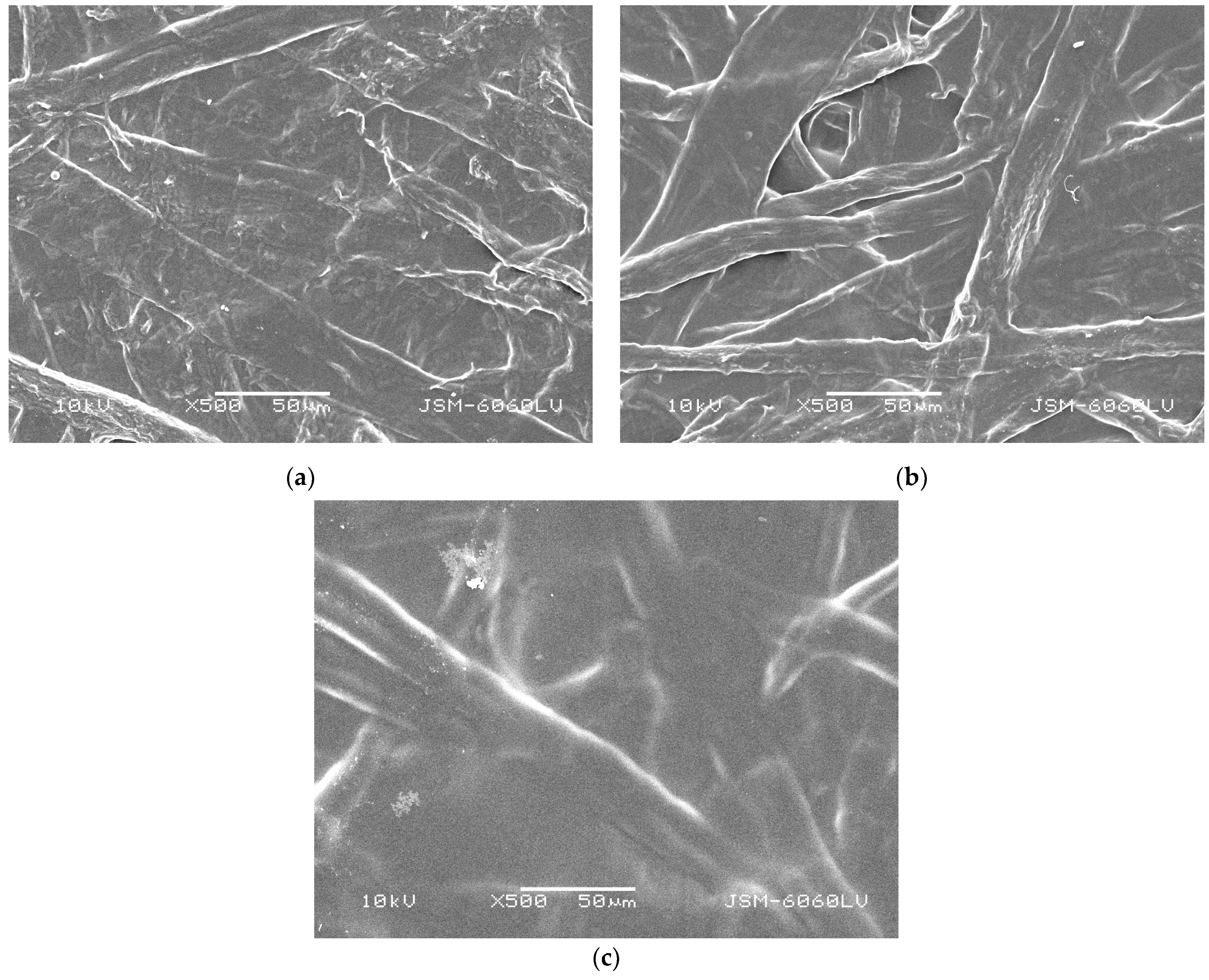 Polymers 16 02127 g004