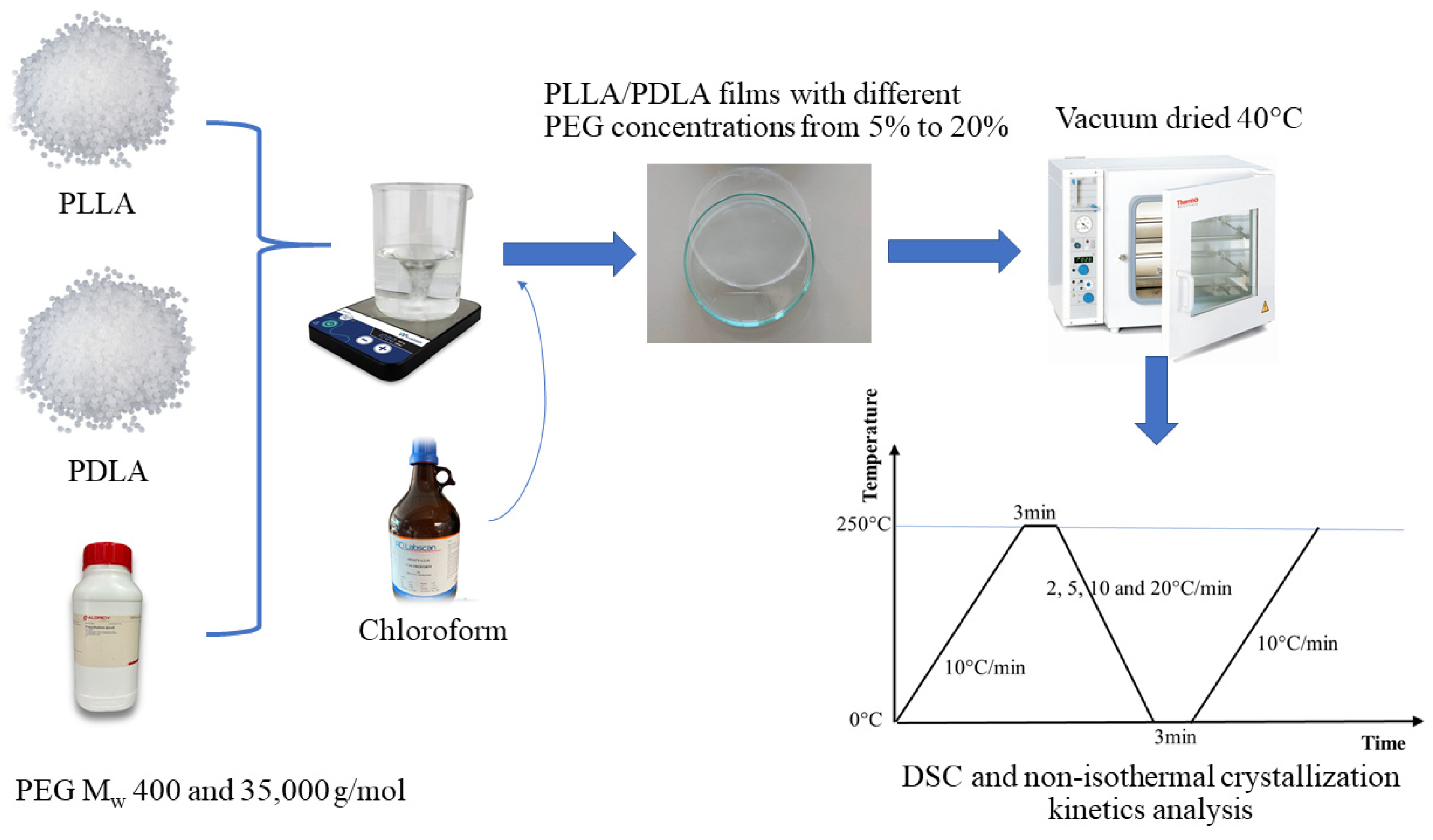 Polymers 16 02129 g002