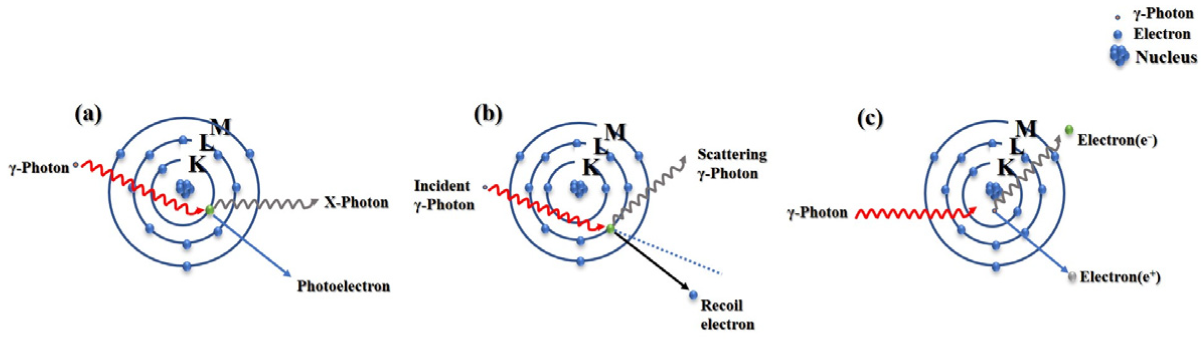 Polymers 16 02130 g001
