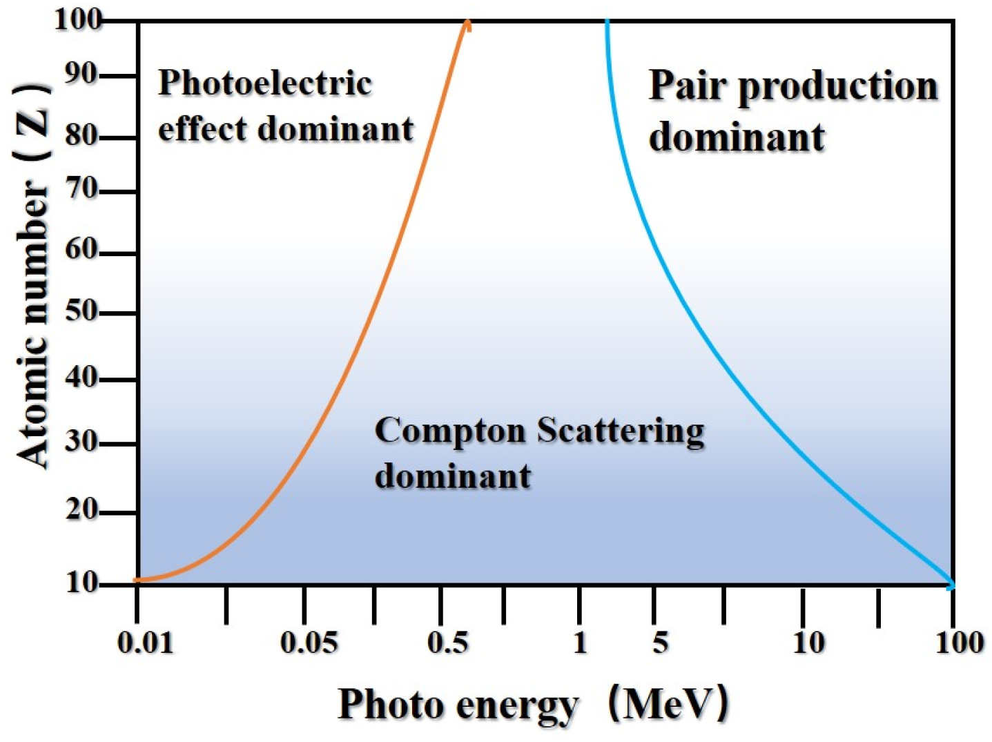 Polymers 16 02130 g002