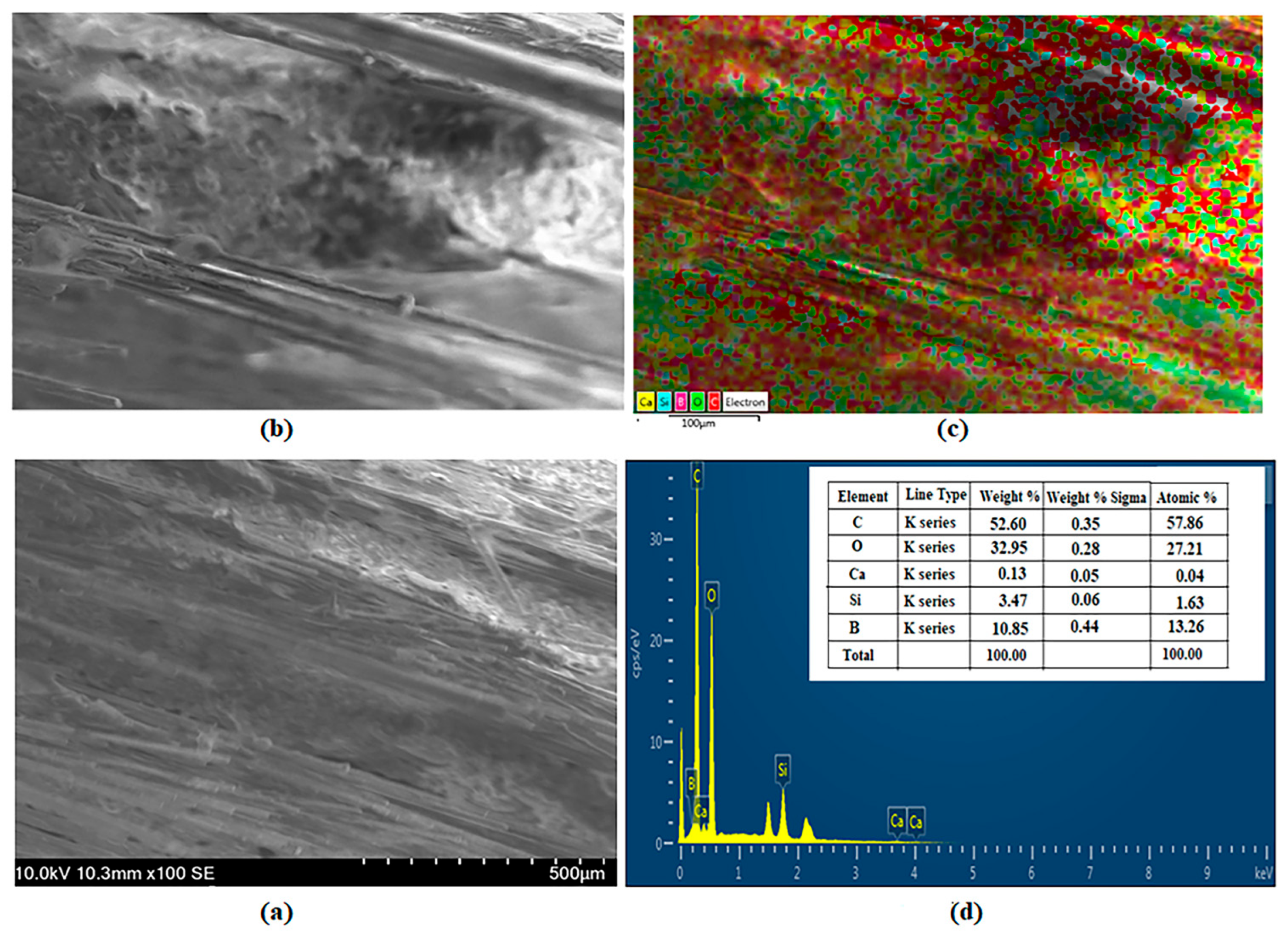 Polymers 16 02133 g012