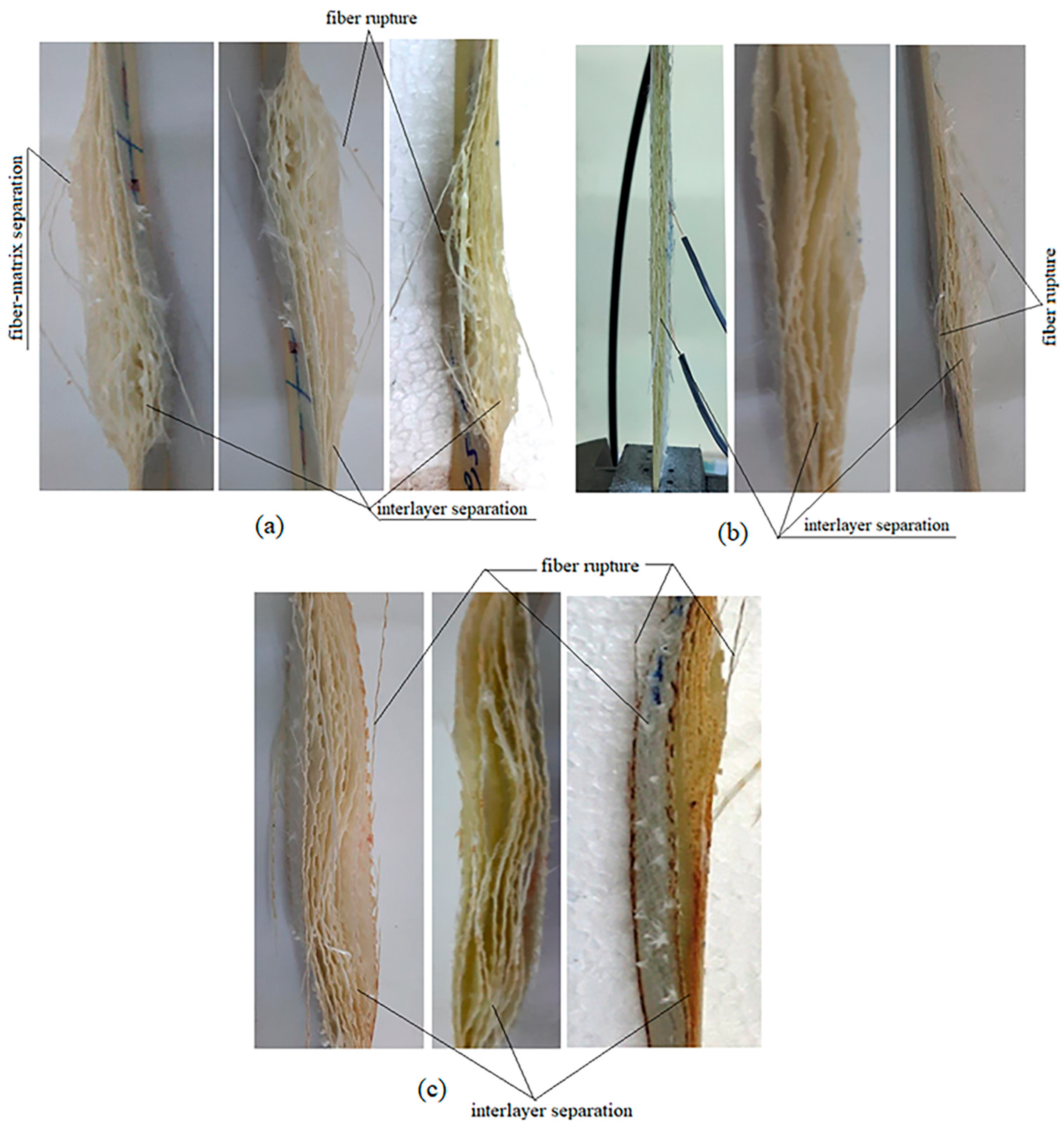 Polymers 16 02133 g015