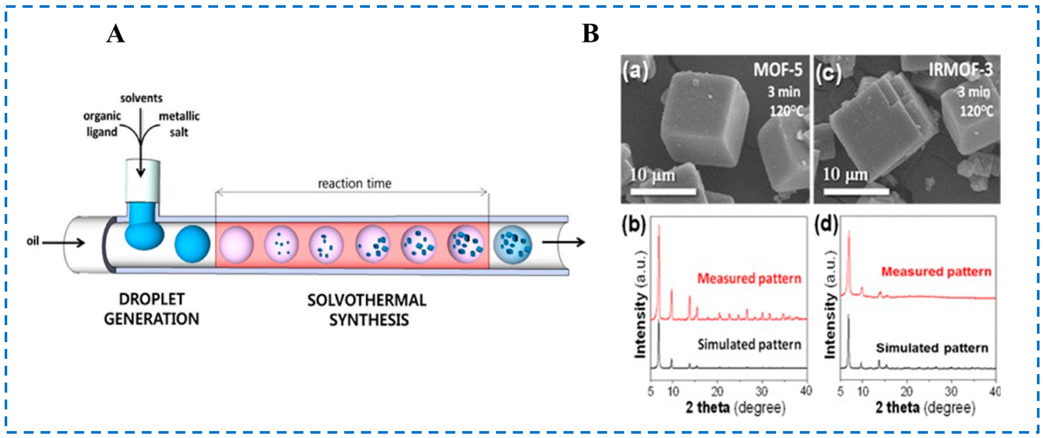 Polymers 16 02134 g005