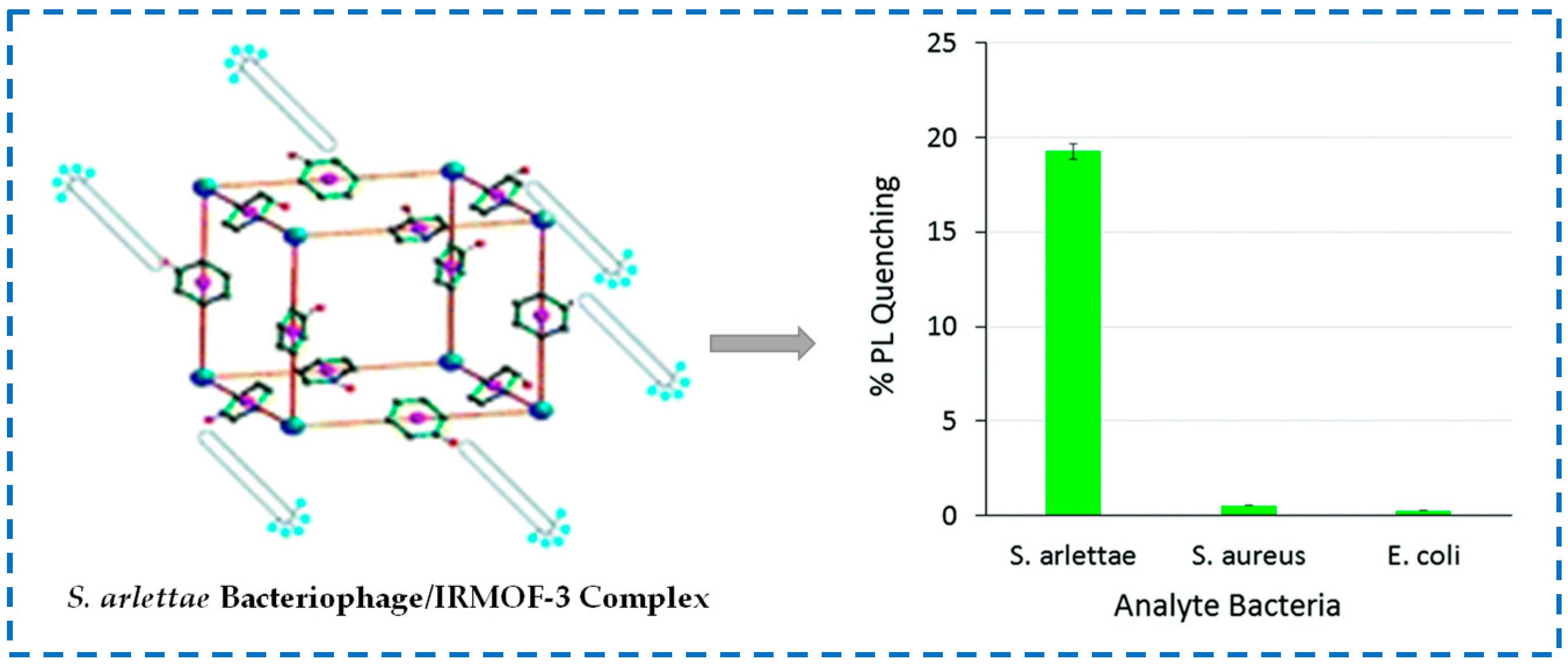 Polymers 16 02134 g025