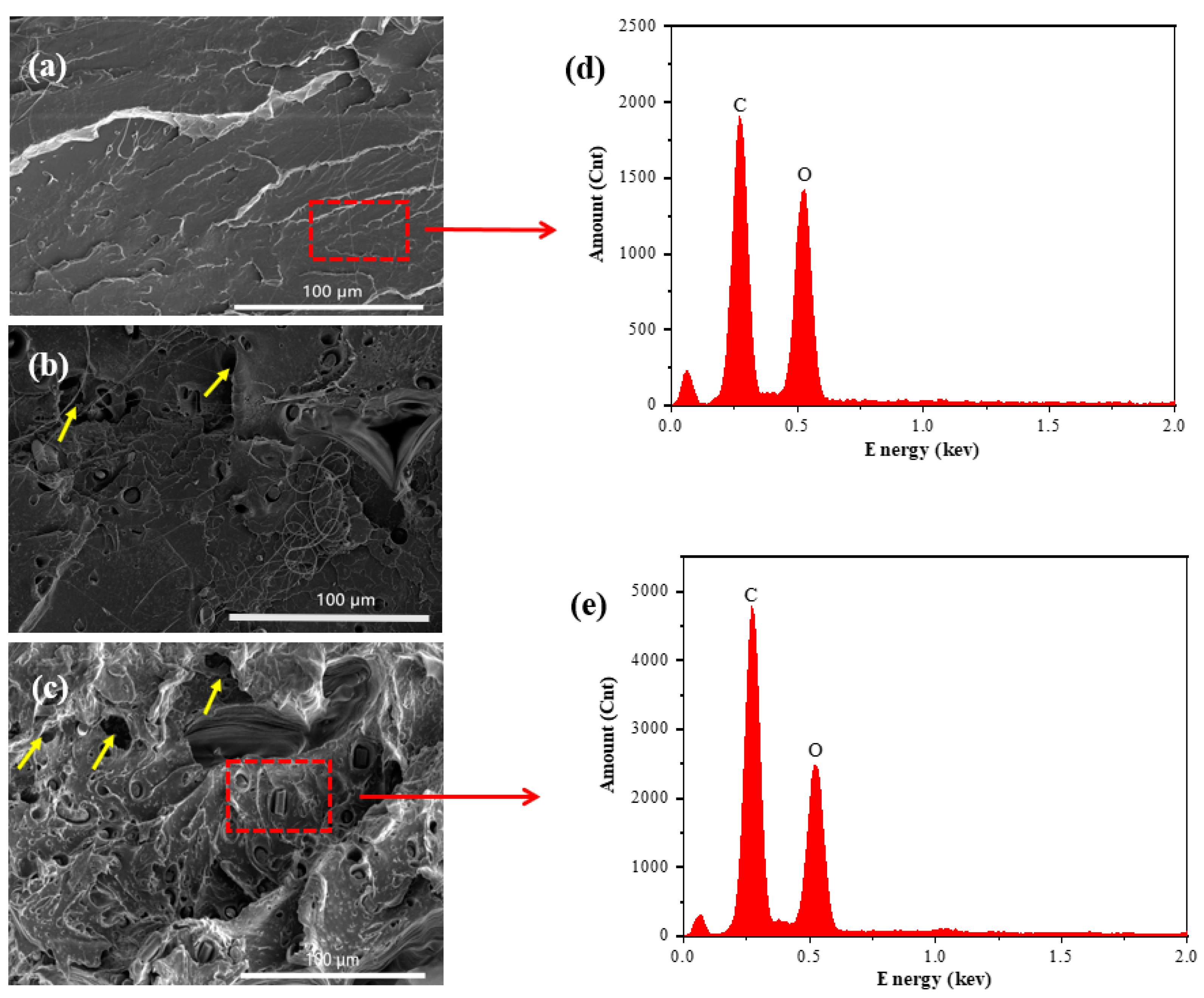 Polymers 16 02135 g002