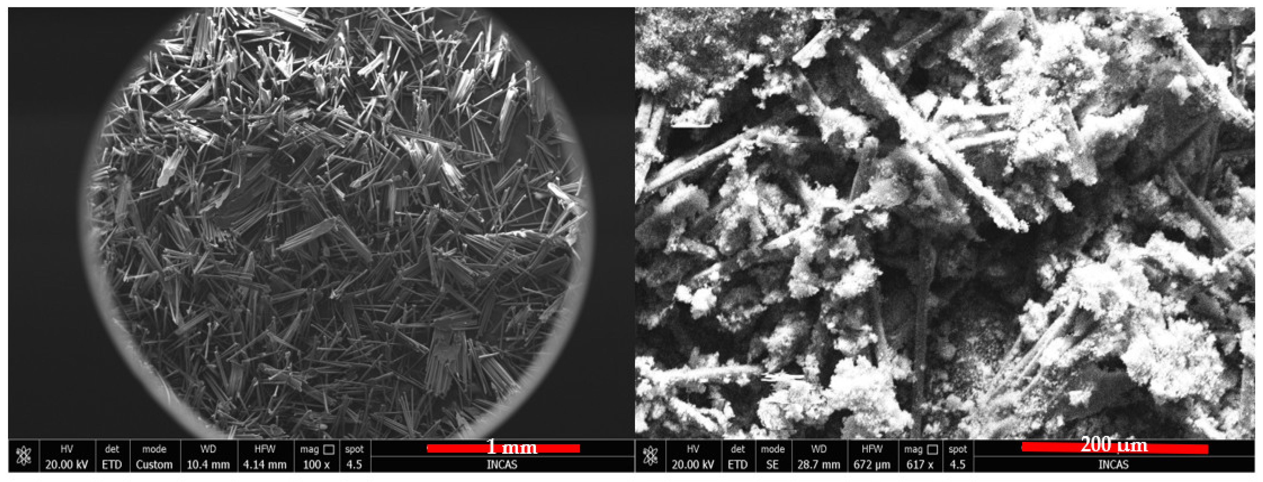 Polymers 16 02136 g011 Polymers 16 02136 g011