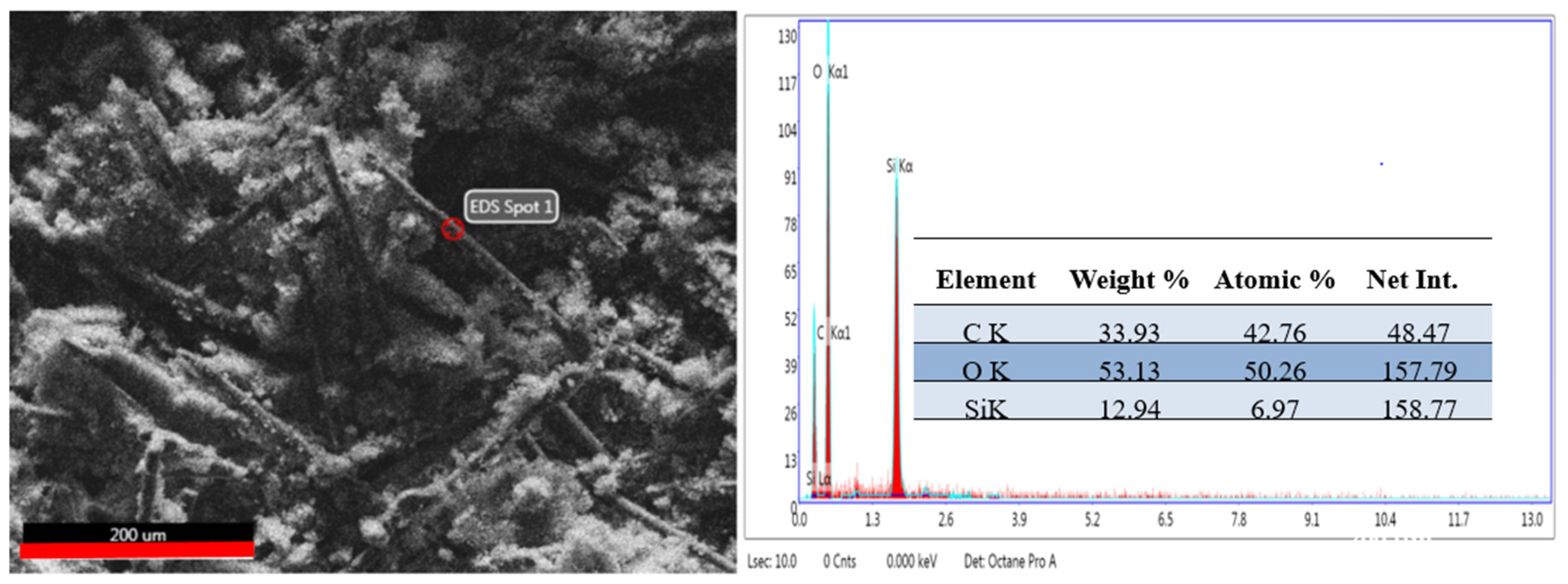 Polymers 16 02136 g012 Polymers 16 02136 g012