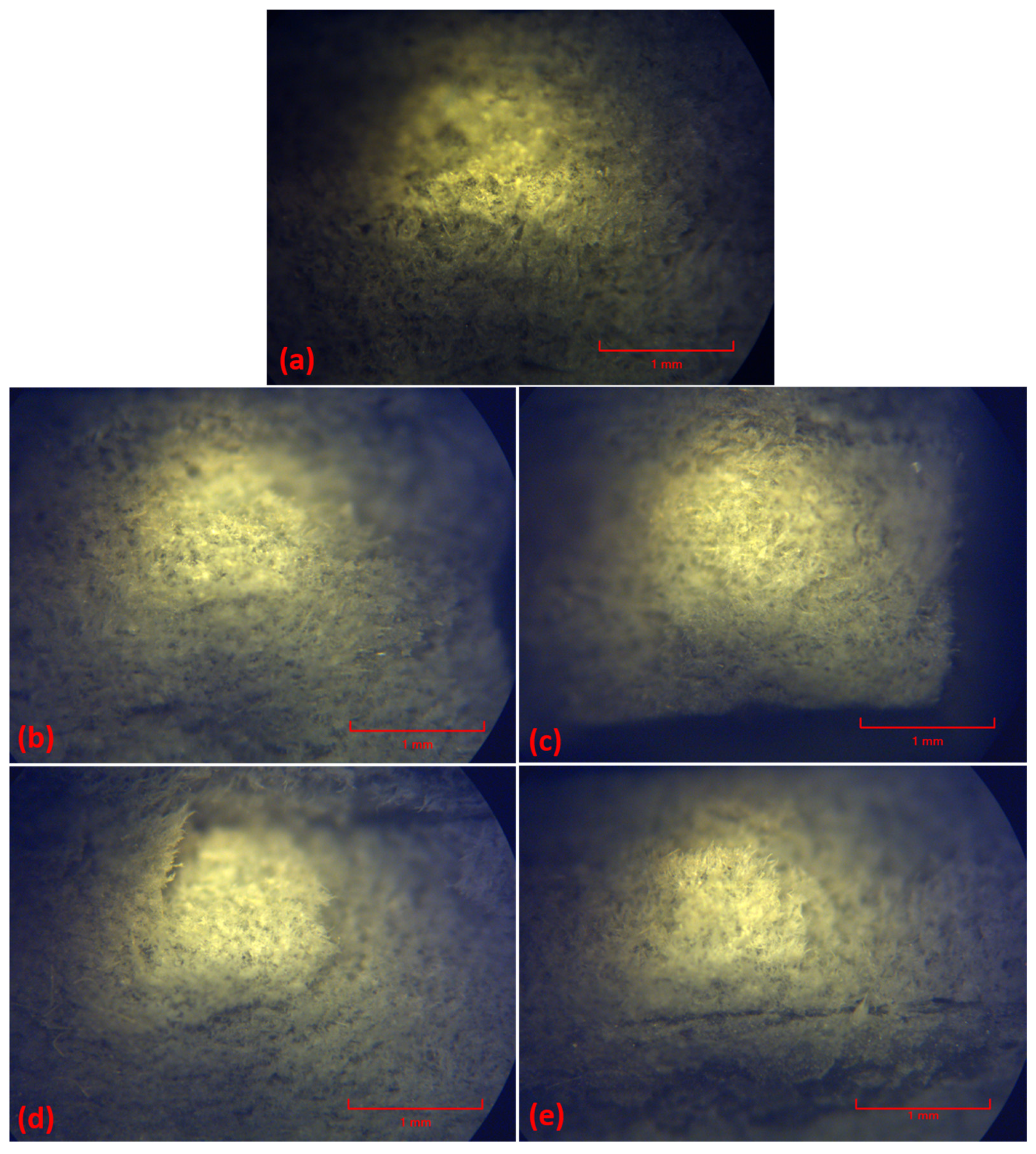 Polymers 16 02136 g026 Polymers 16 02136 g026