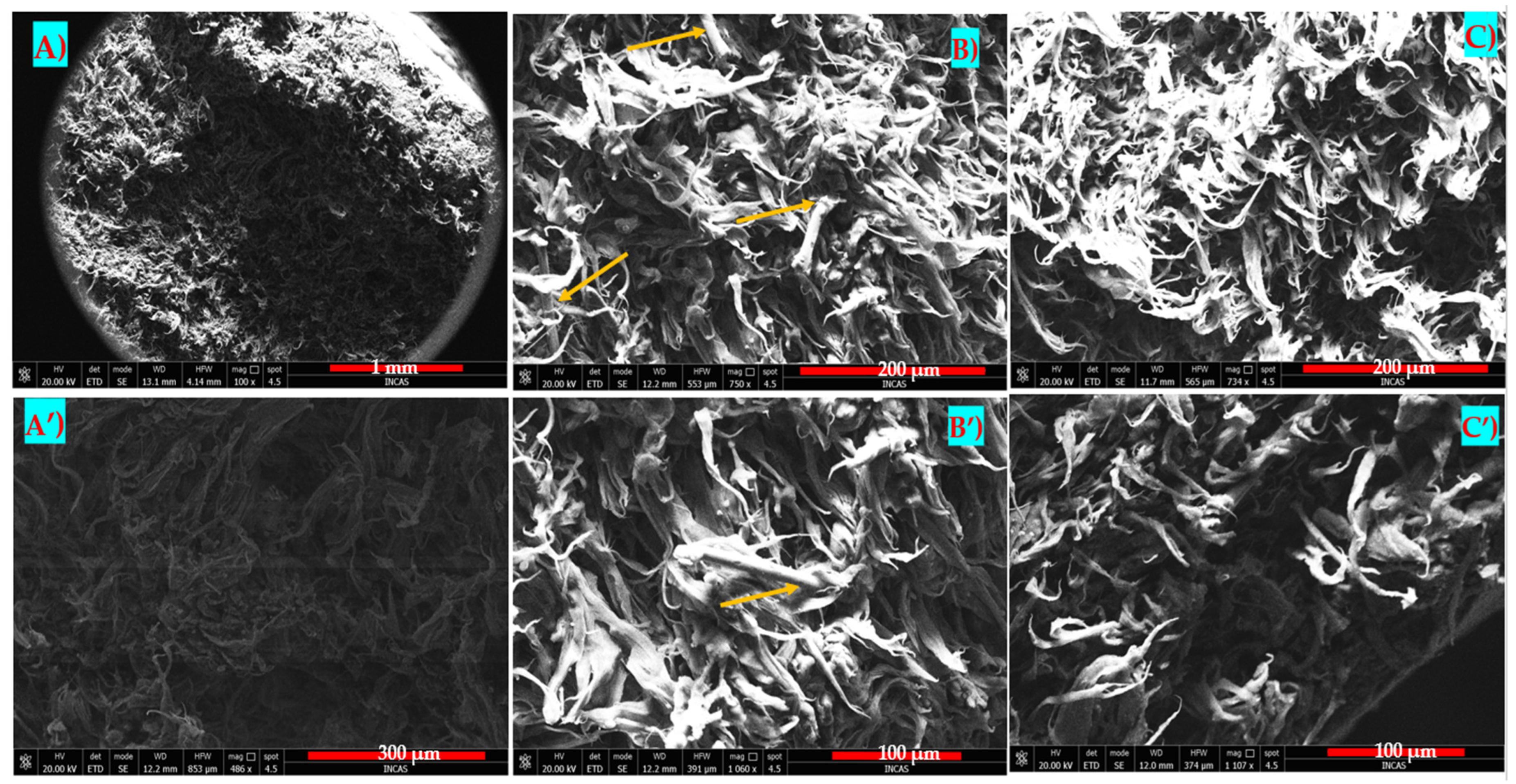 Polymers 16 02136 g027 Polymers 16 02136 g027
