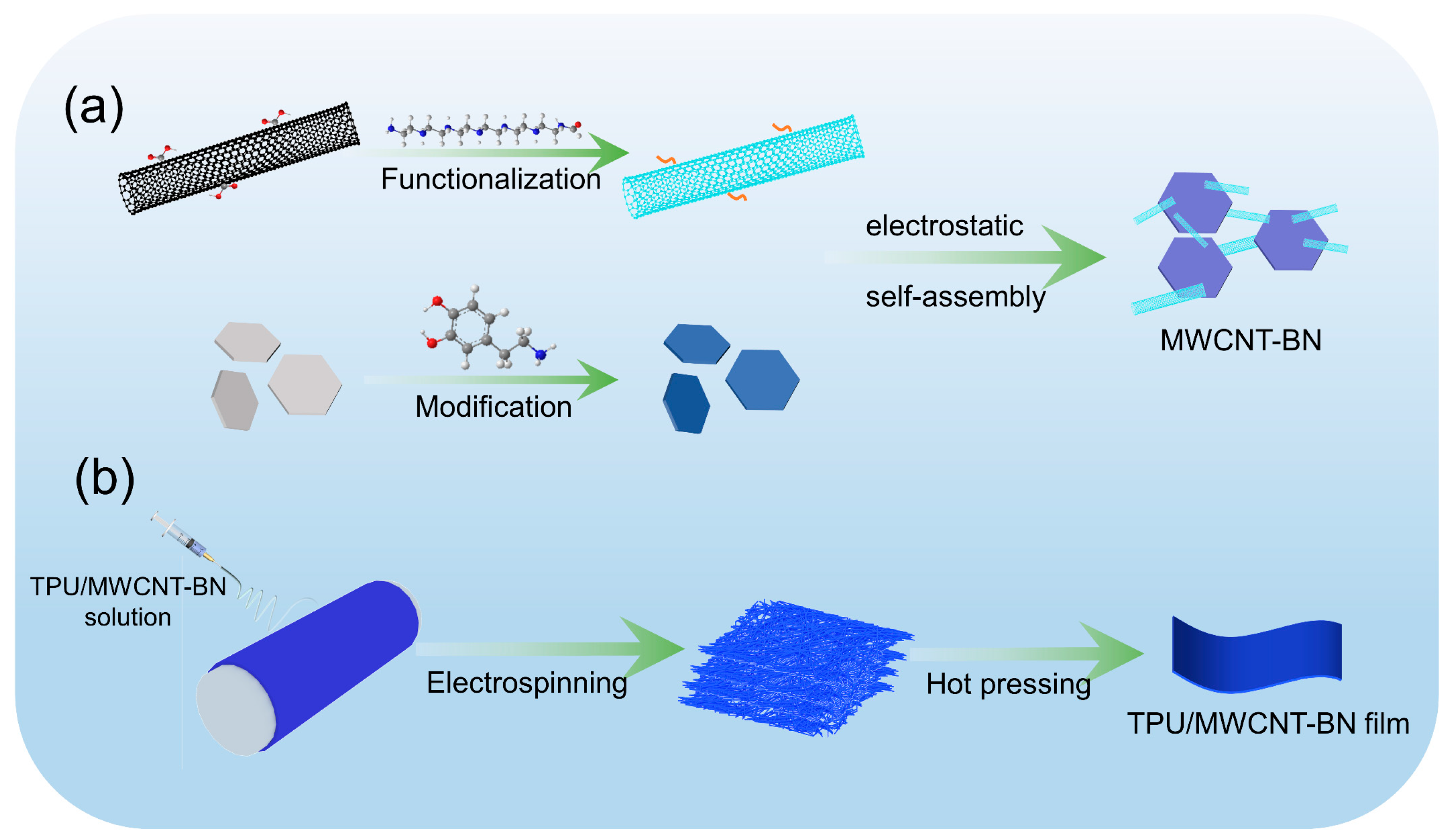 Polymers 16 02139 g001