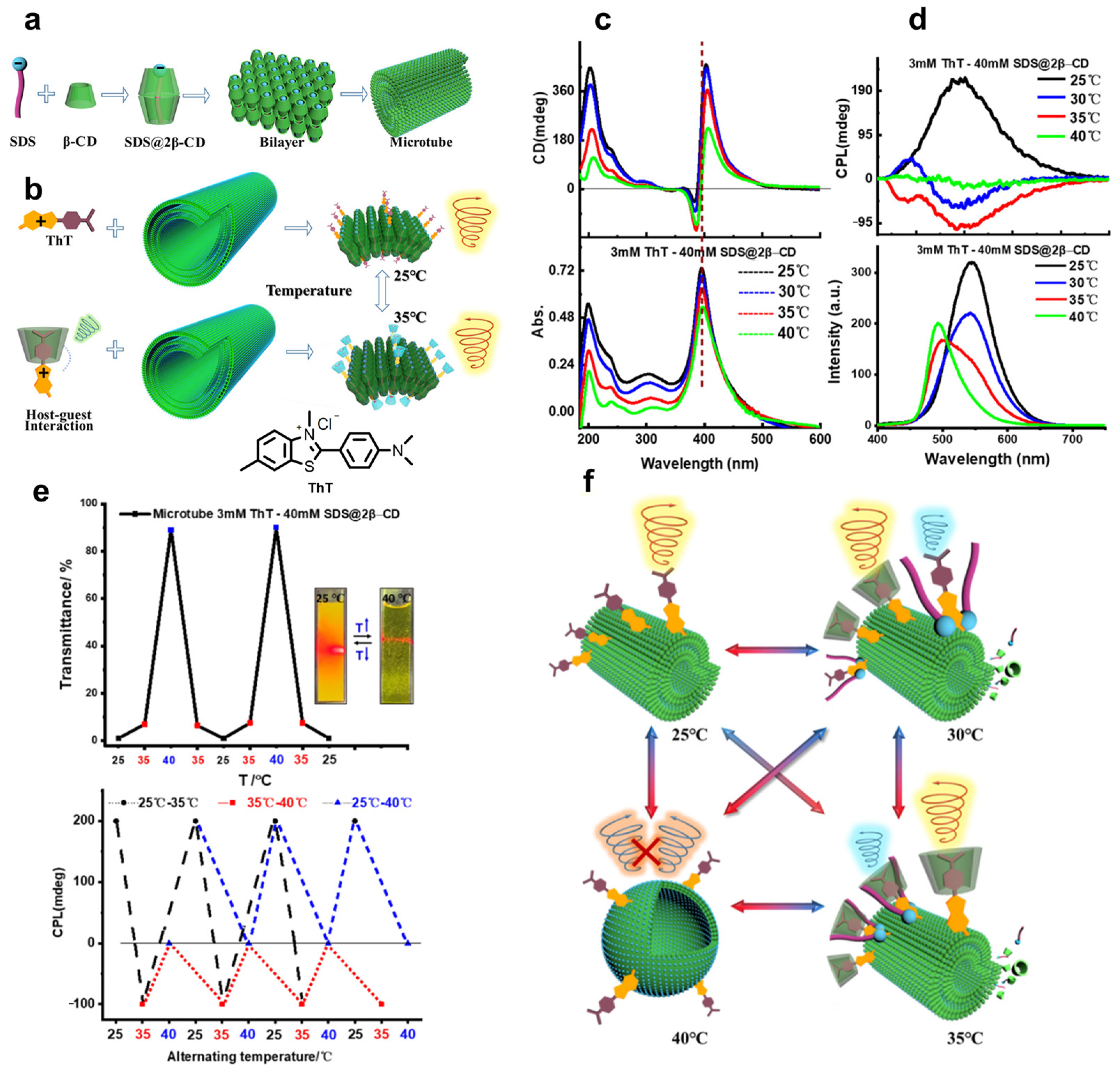 Polymers 16 02140 g007