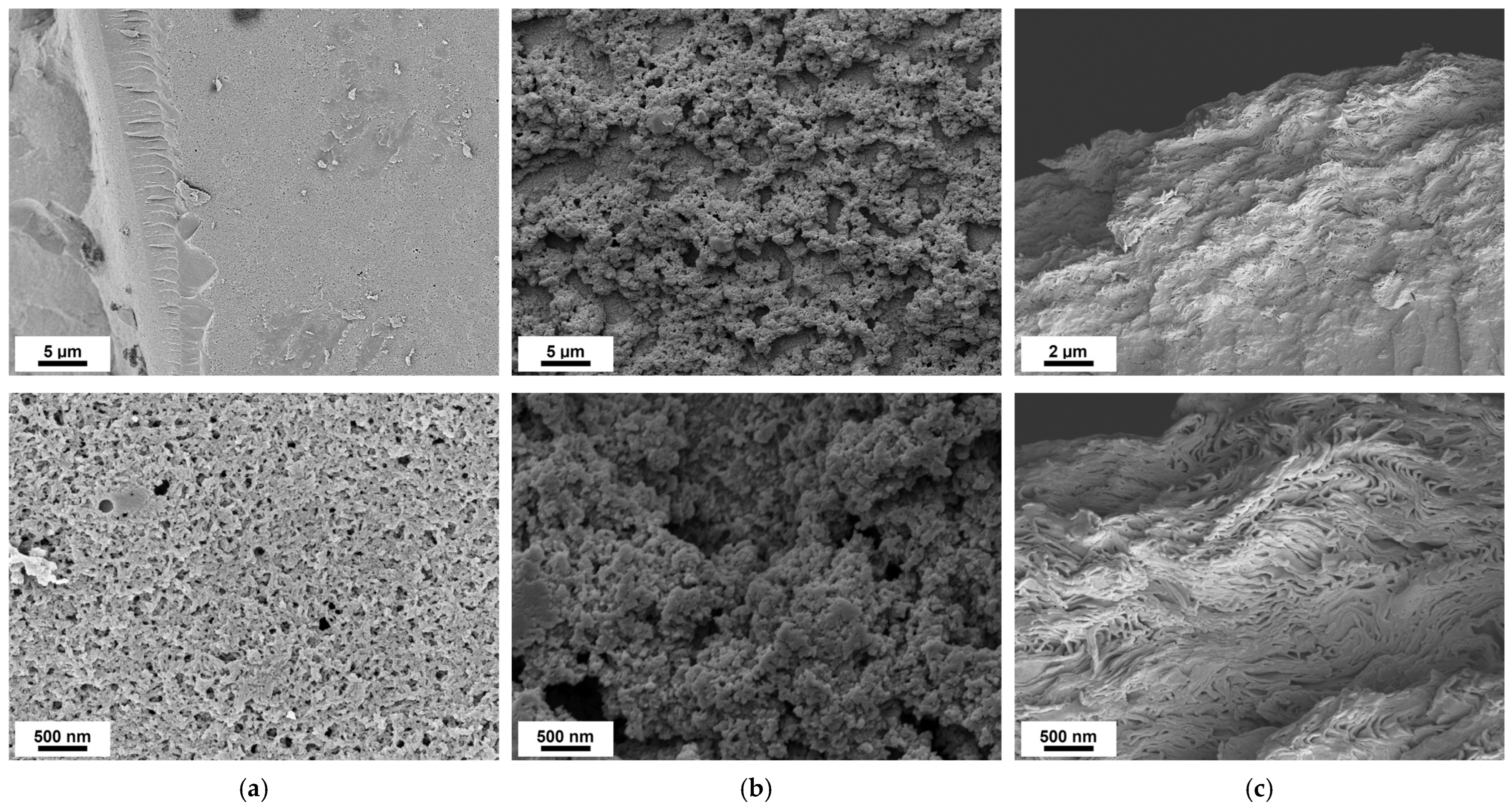 Polymers 16 02142 g005