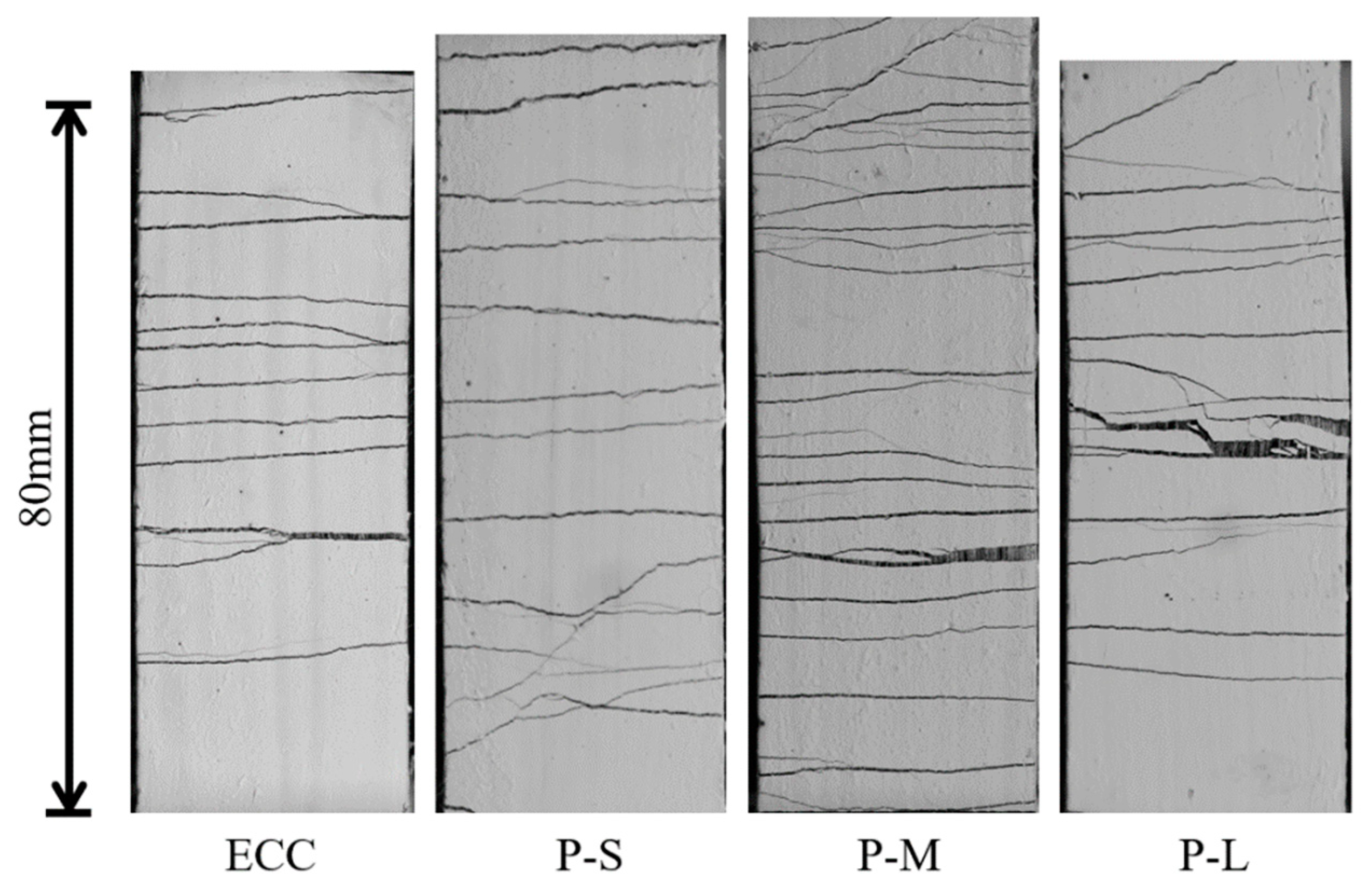 Polymers 16 02143 g008