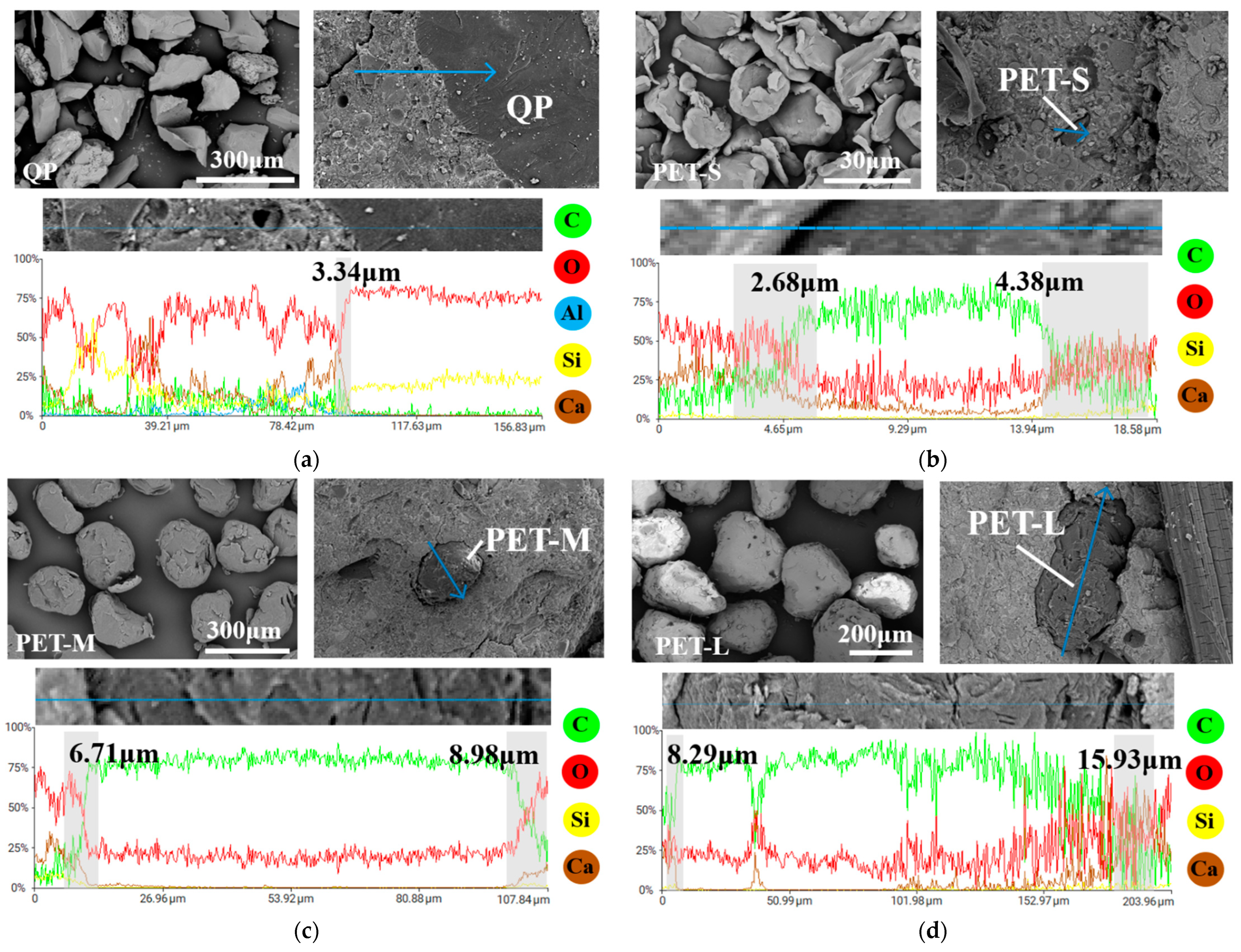 Polymers 16 02143 g016