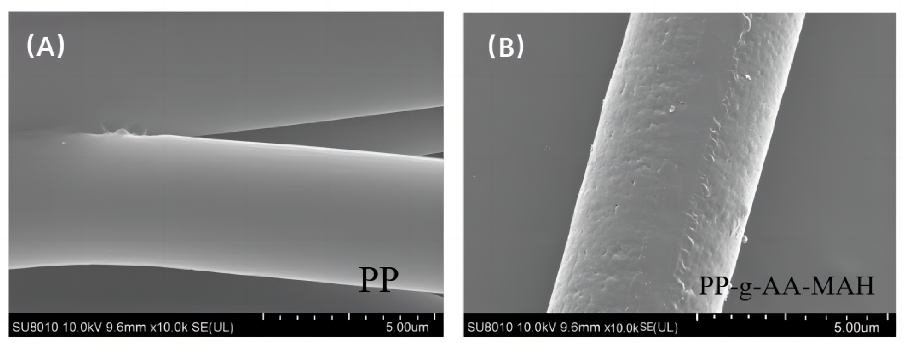 Polymers 16 02144 g005