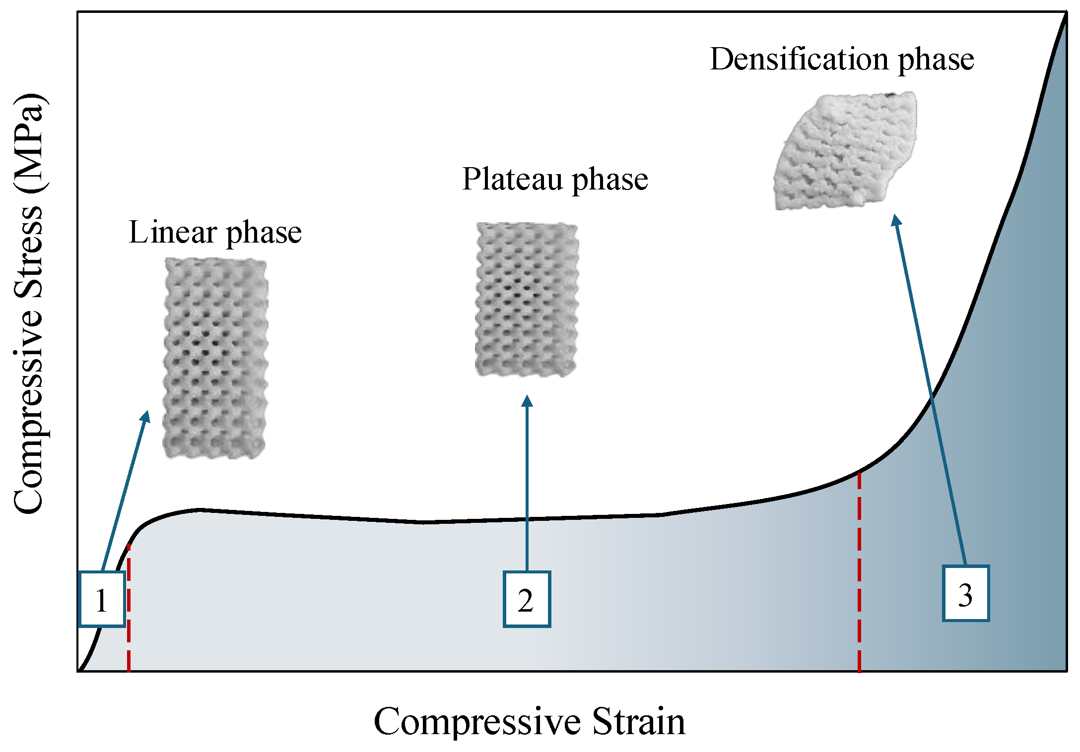 Polymers 16 02145 g004