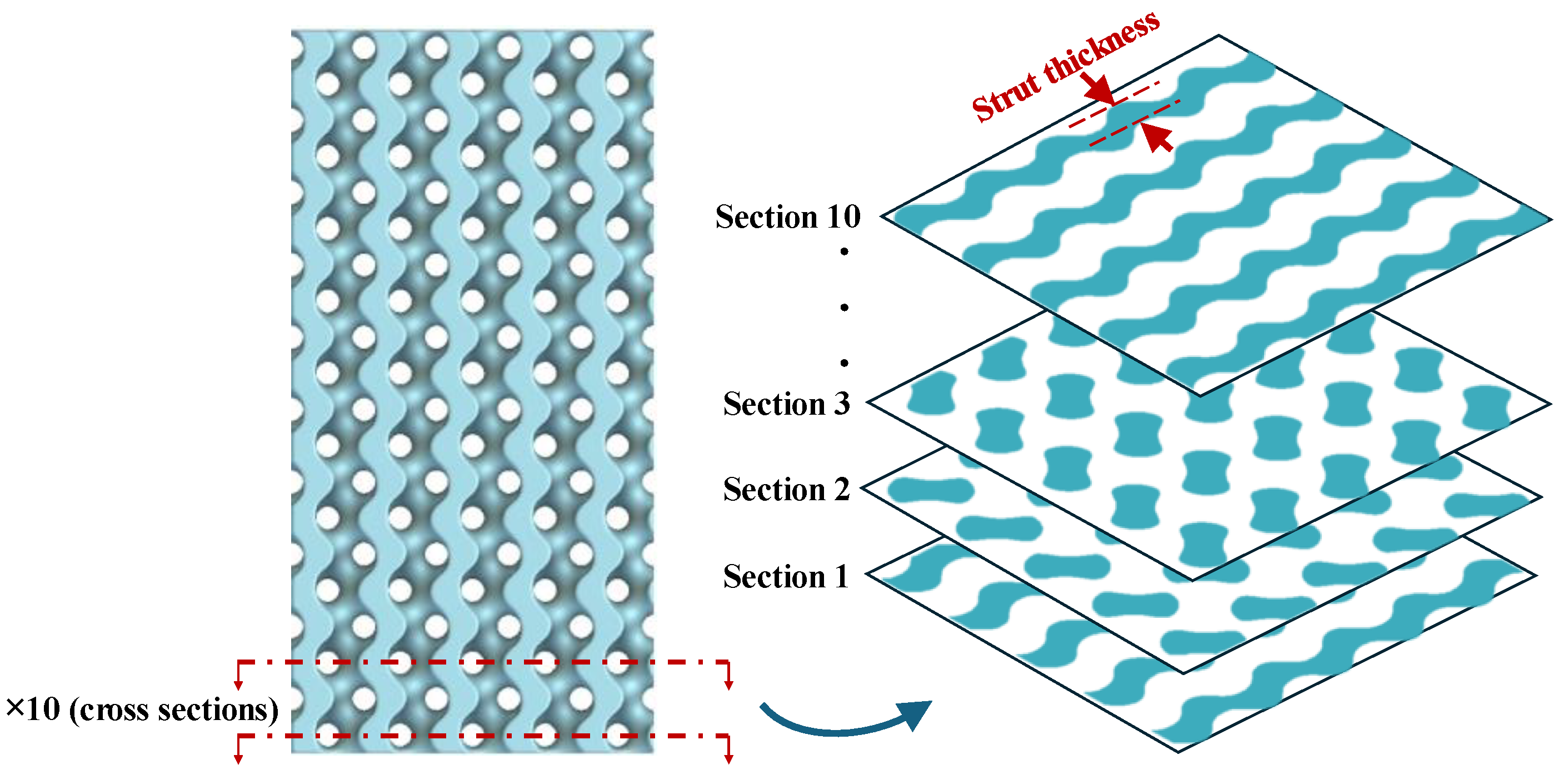 Polymers 16 02145 g005