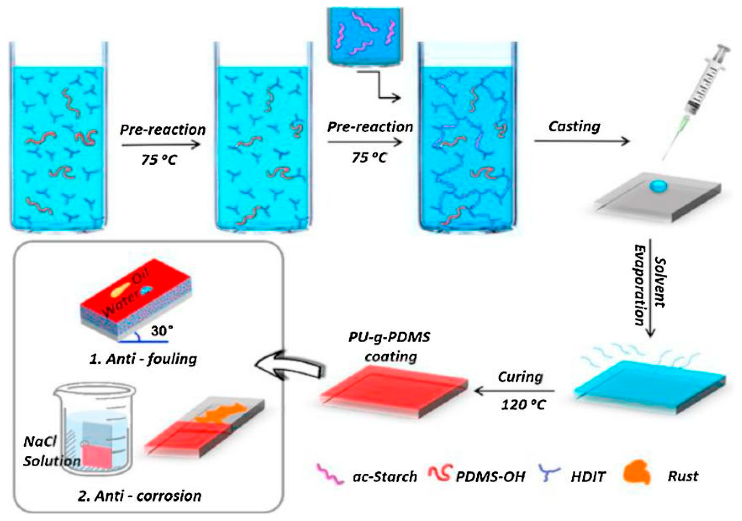 Polymers 16 02155 g005