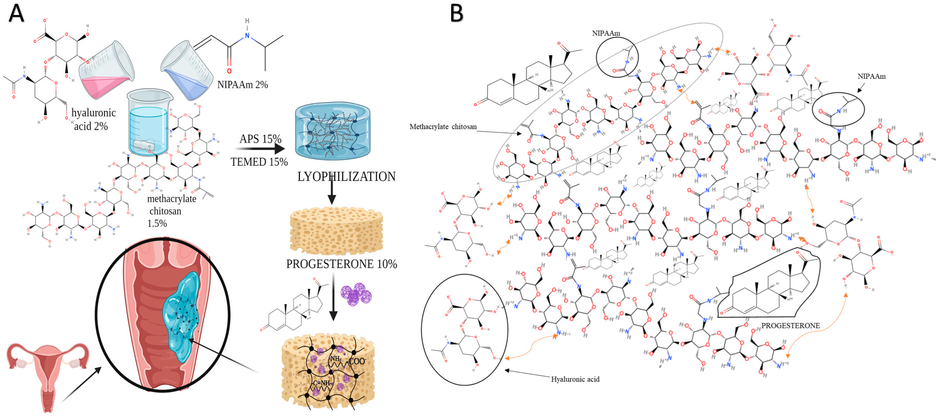 Polymers 16 02160 g001