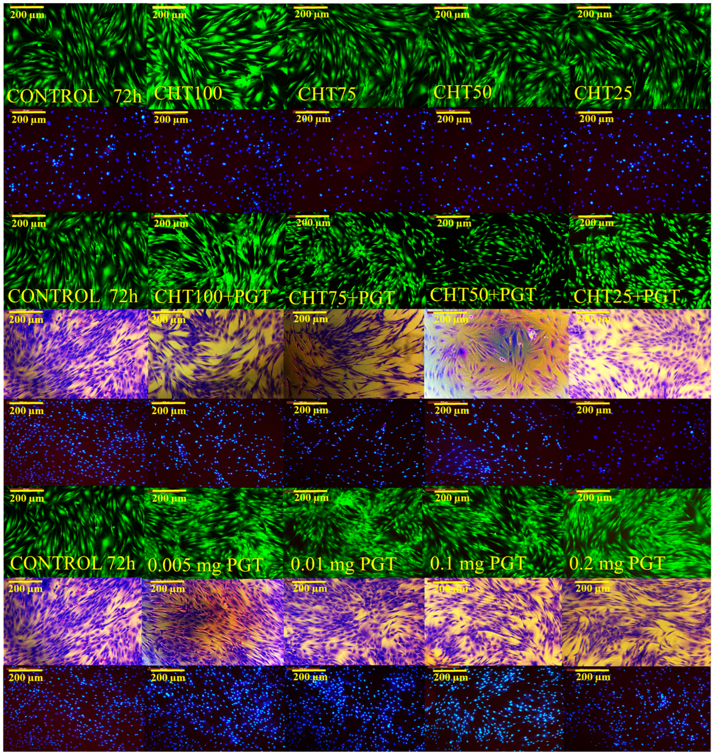 Polymers 16 02160 g009
