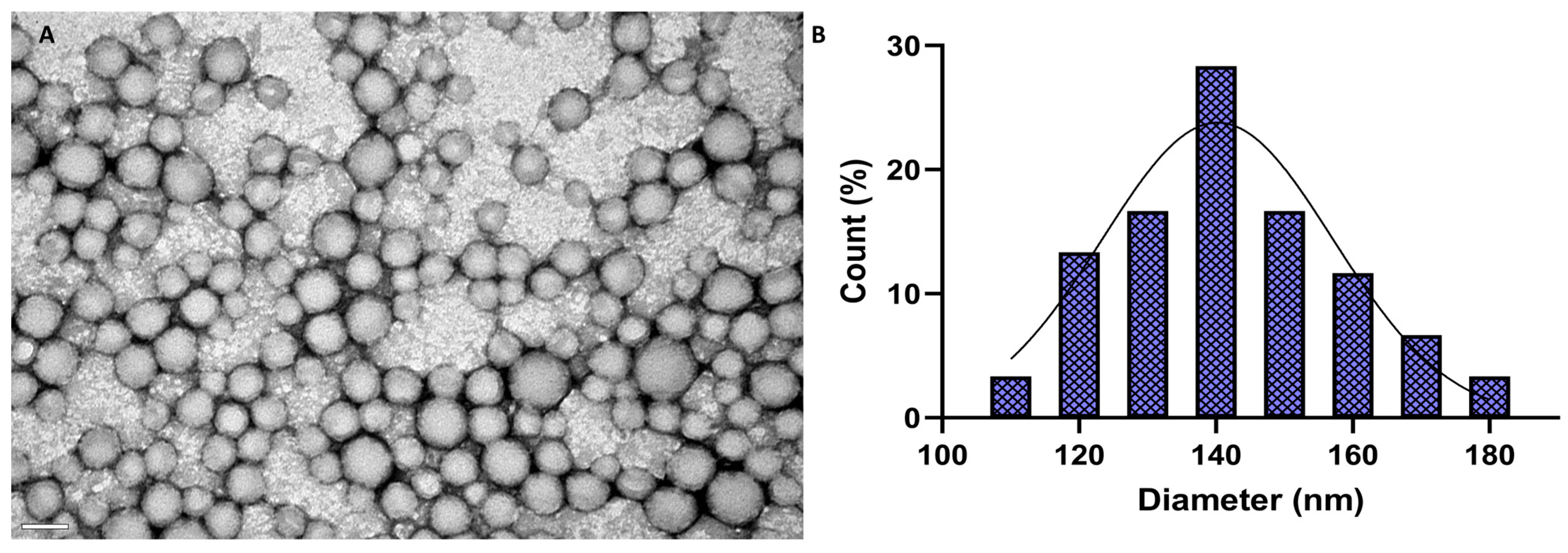 Polymers 16 02161 g001