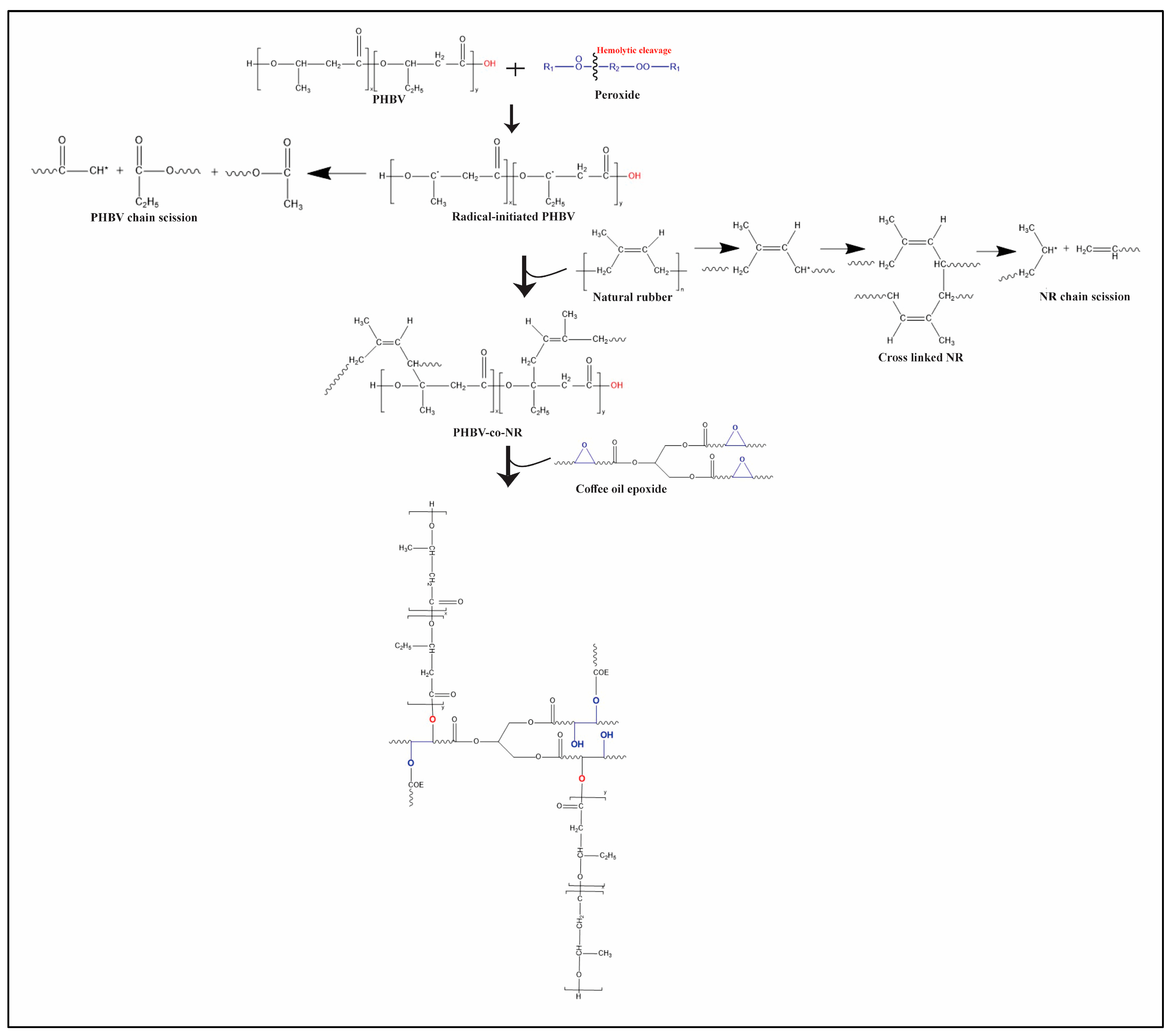 Polymers 16 02164 g001