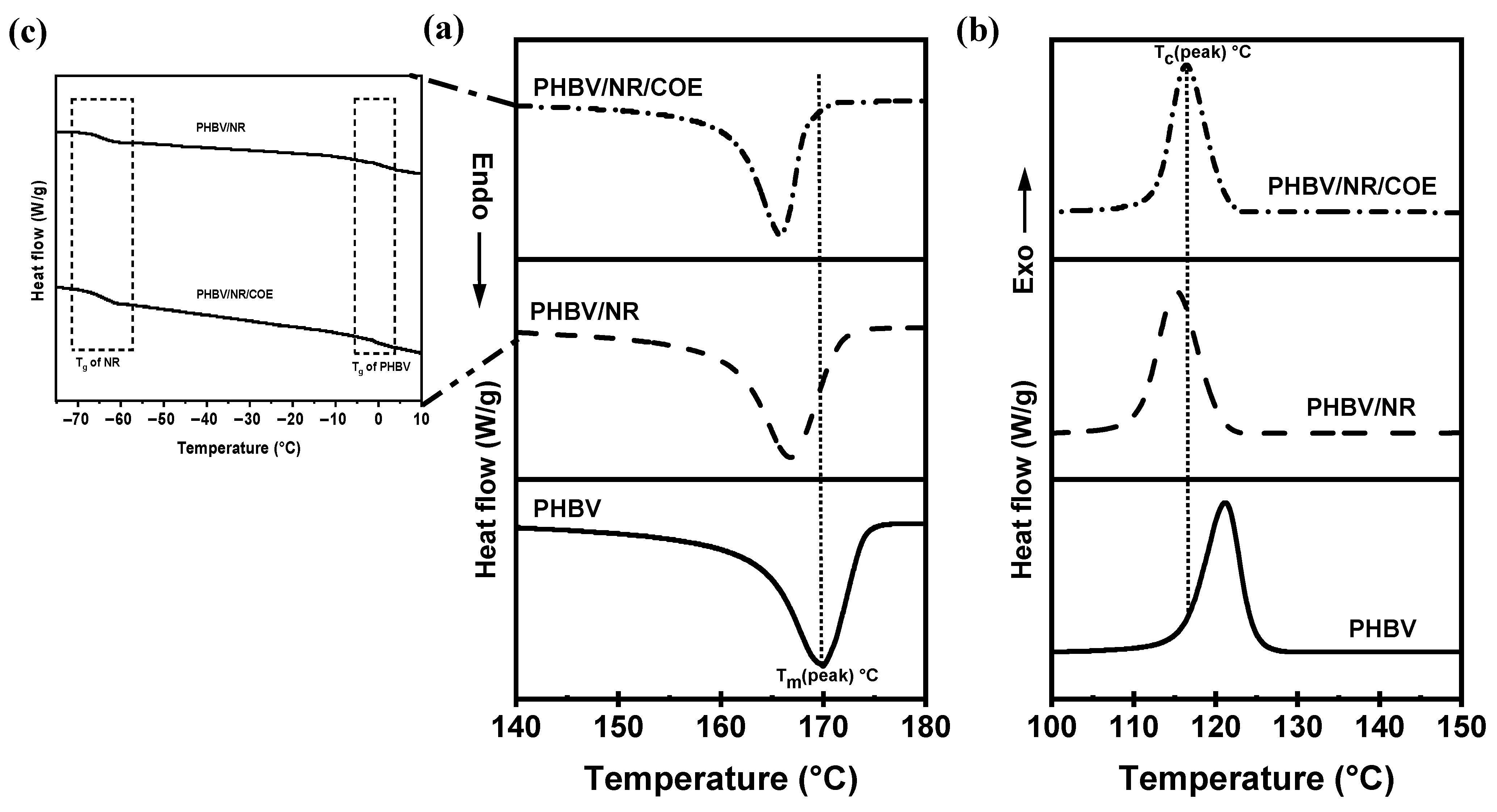 Polymers 16 02164 g003