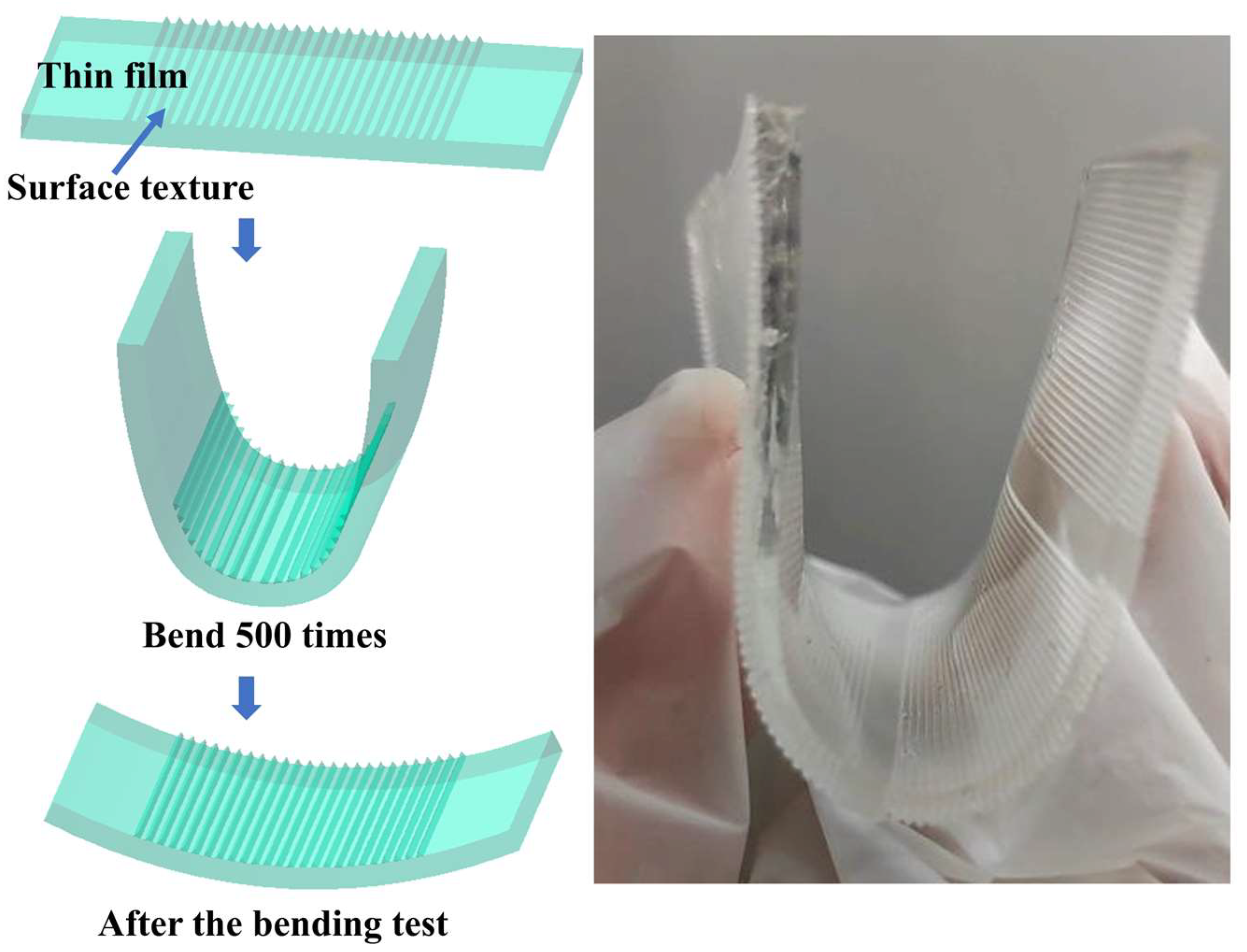 Polymers 16 02165 g004