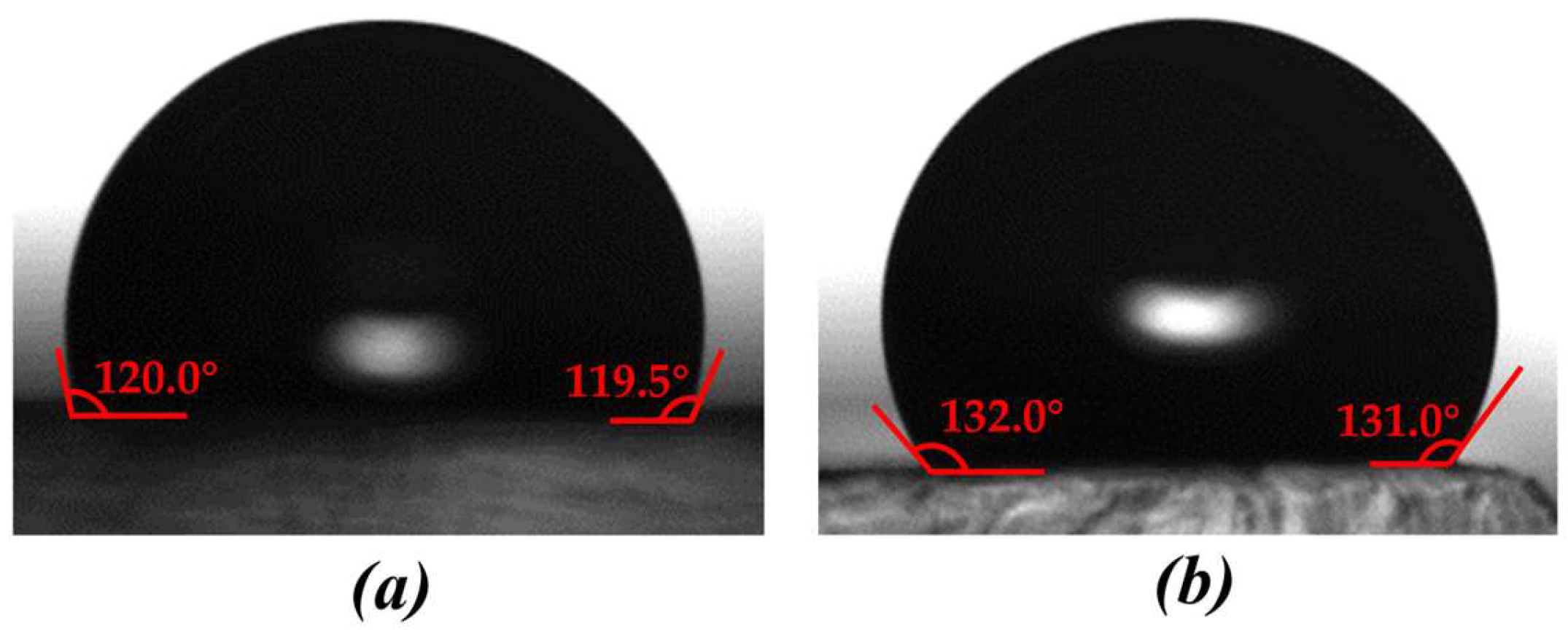 Polymers 16 02165 g013