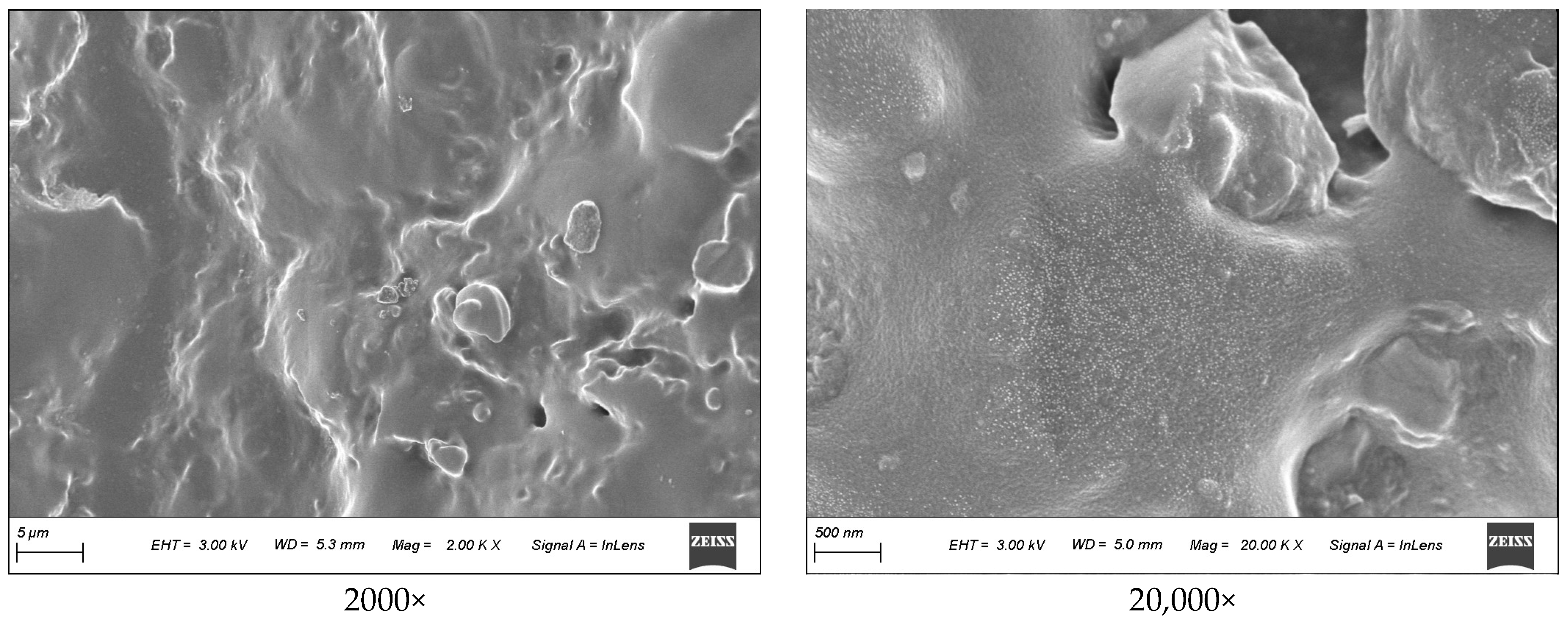 Polymers 16 02165 g015b