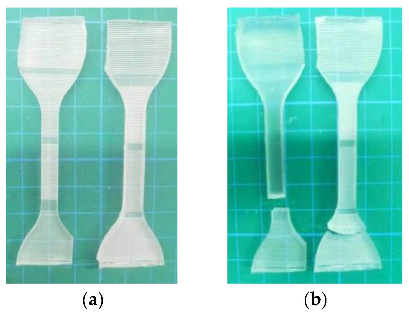 Polymers 16 02165 g021