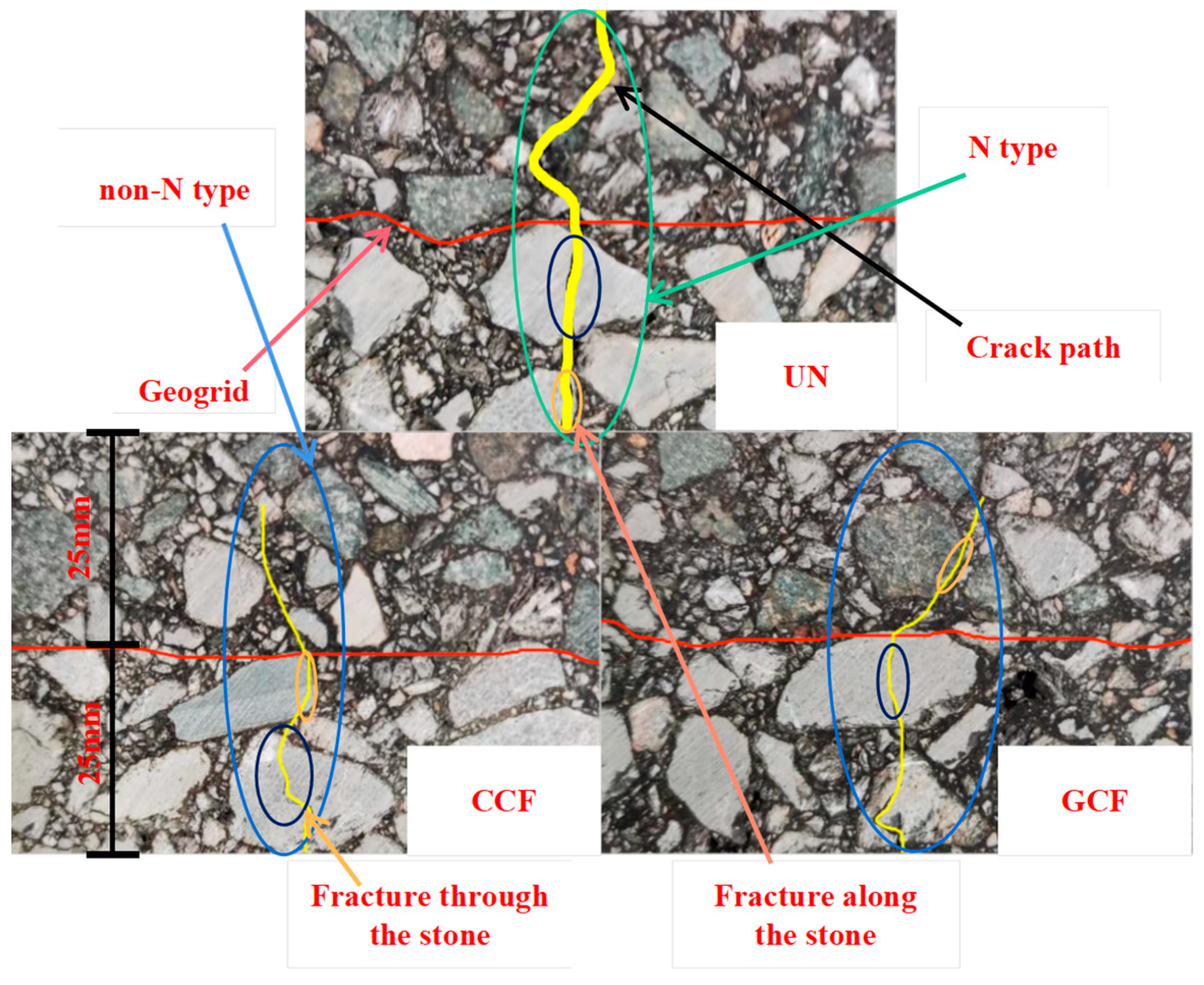 Polymers 16 02168 g013