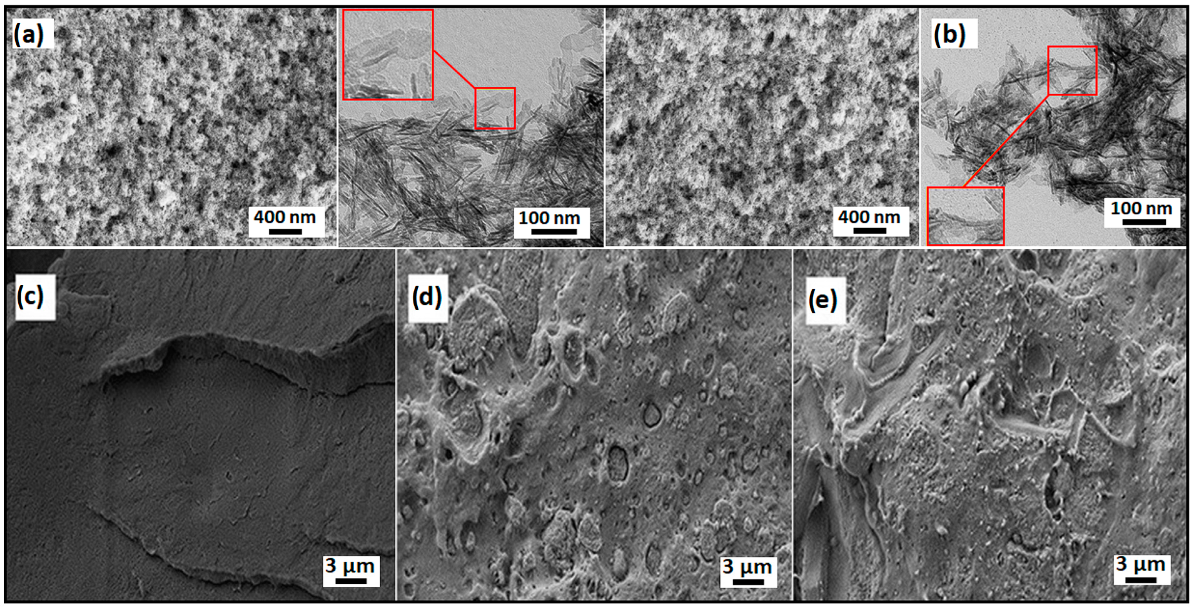 Polymers 16 02169 g001 Polymers 16 02169 g001