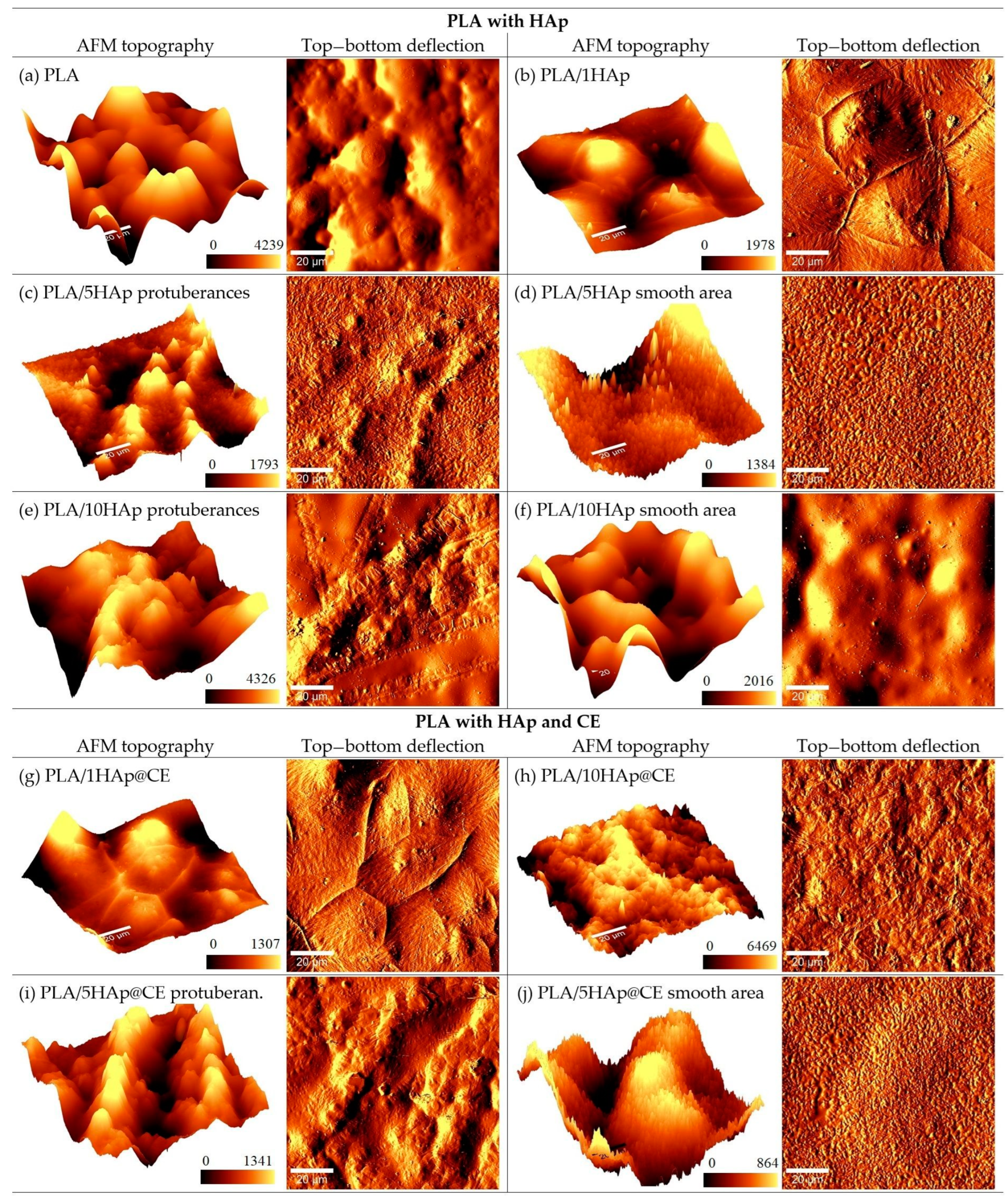 Polymers 16 02169 g002 Polymers 16 02169 g002