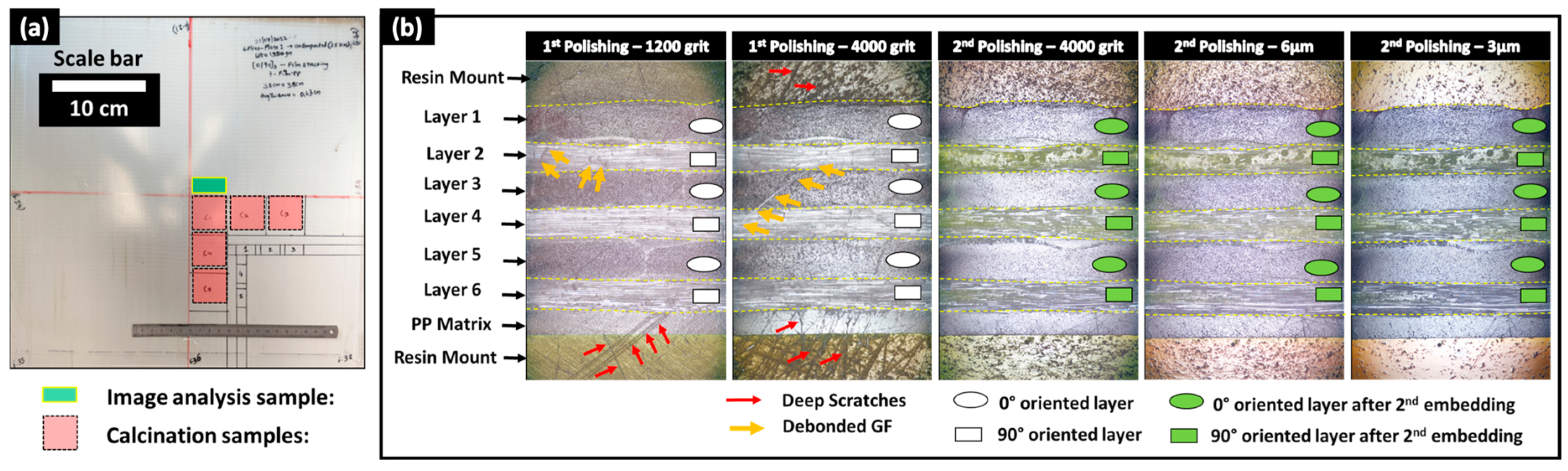 Polymers 16 02171 g002