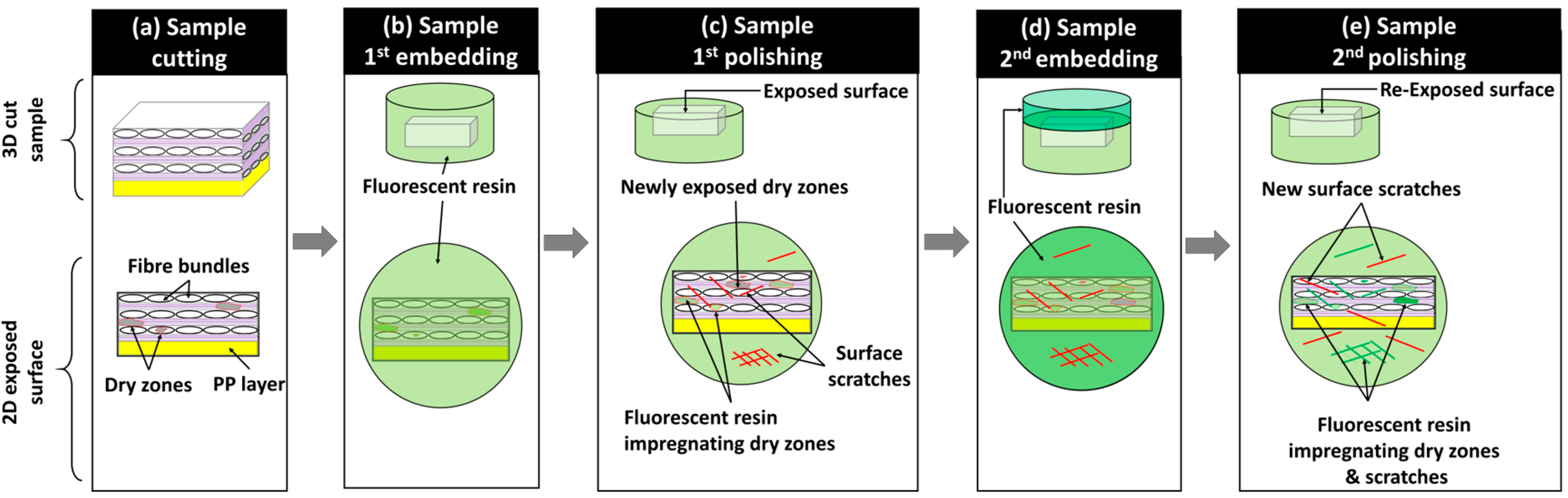 Polymers 16 02171 g003