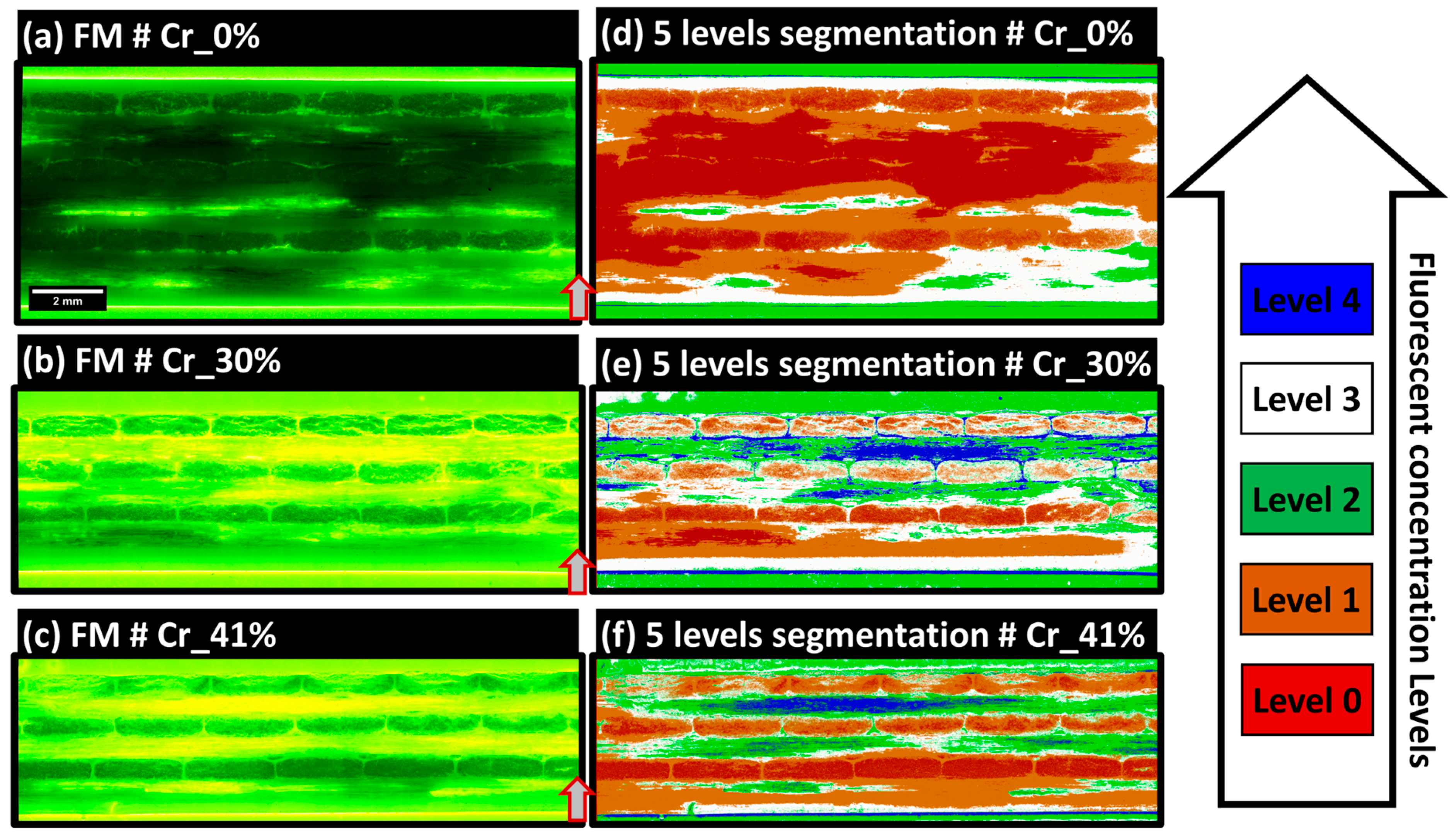 Polymers 16 02171 g009