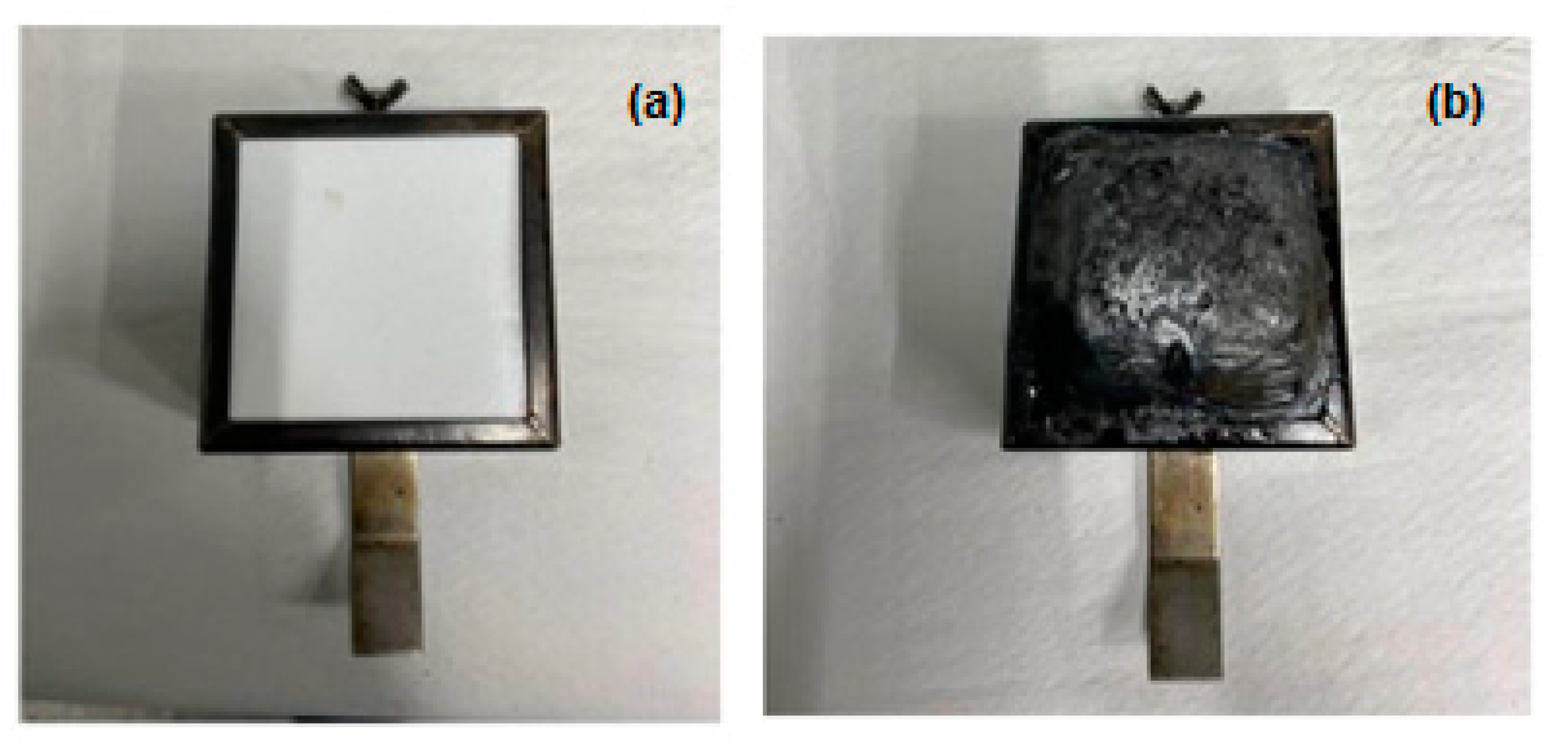 Polymers 16 02175 g012
