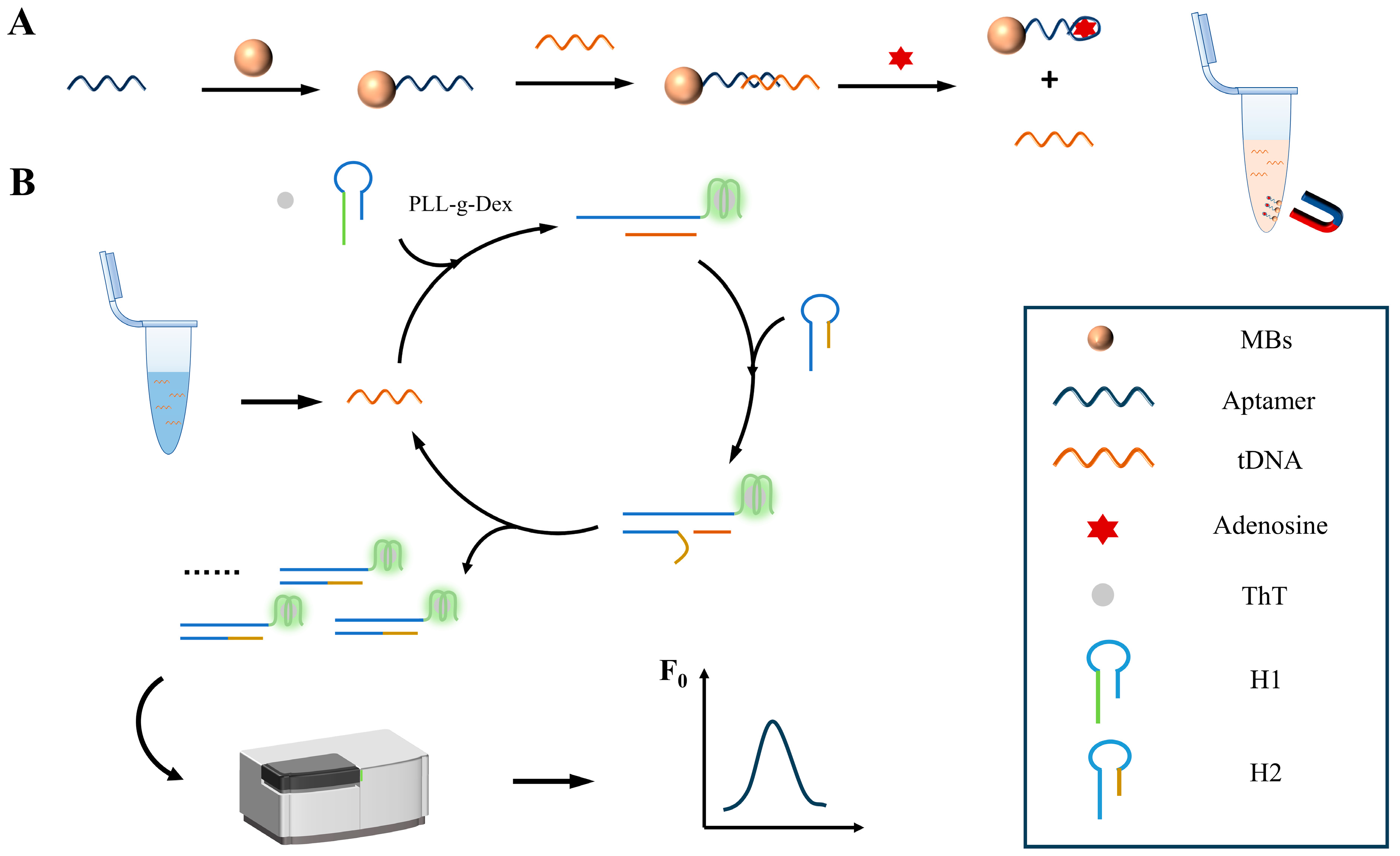 Polymers 16 02179 g002