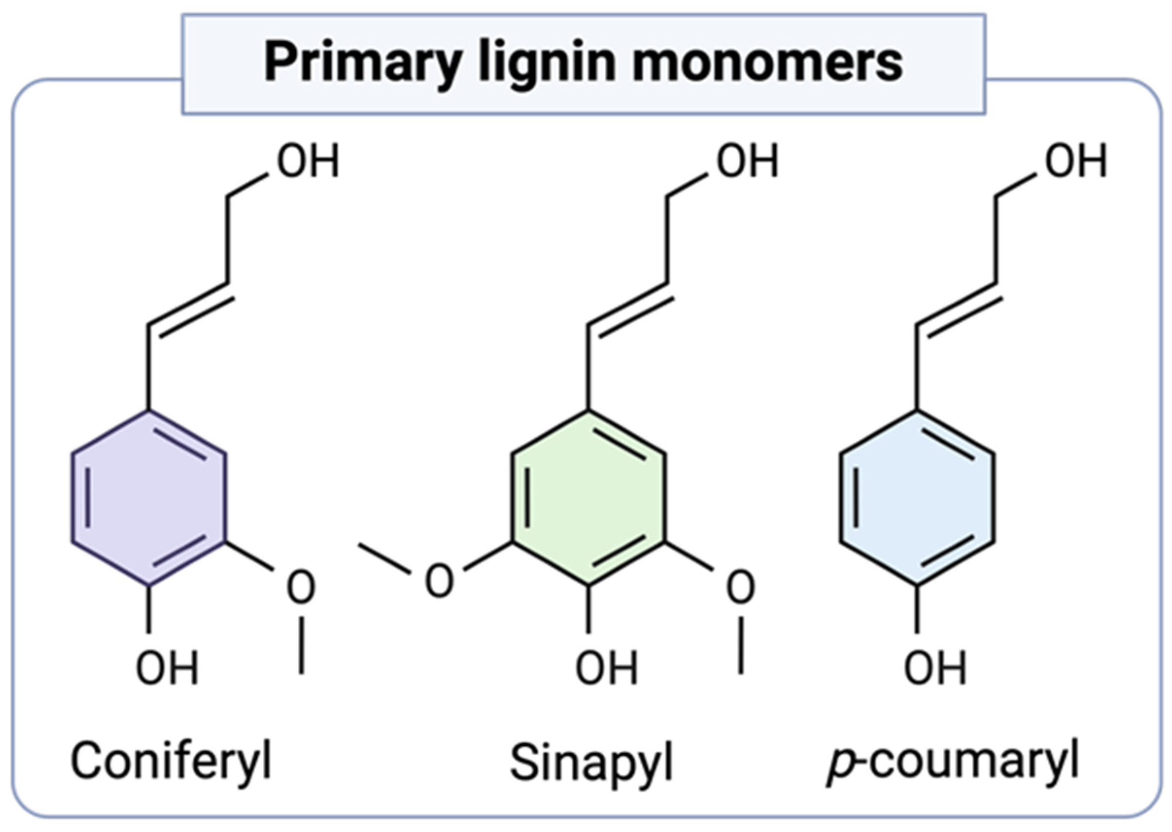 Polymers 16 02181 g001 Polymers 16 02181 g001