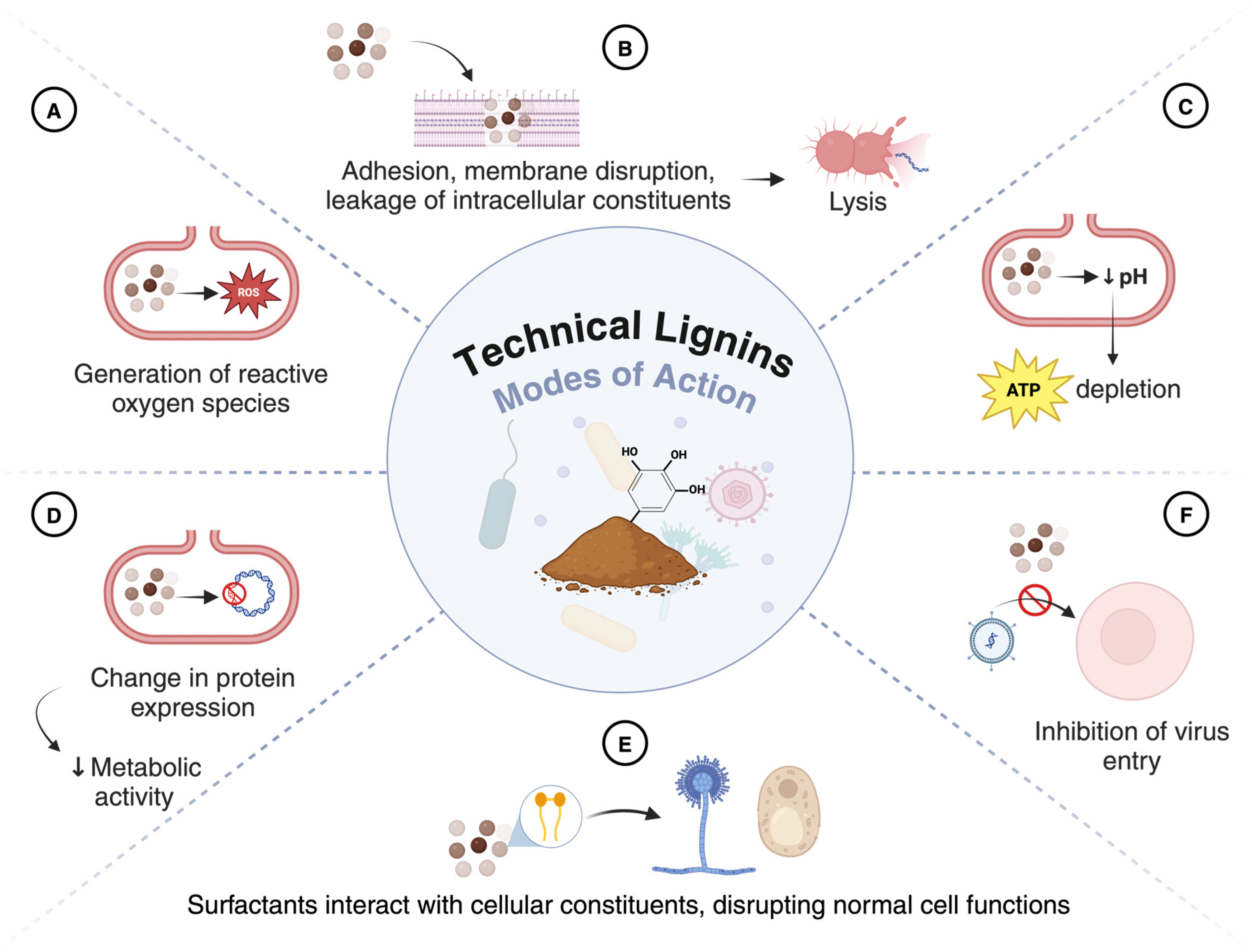 Polymers 16 02181 g002 Polymers 16 02181 g002