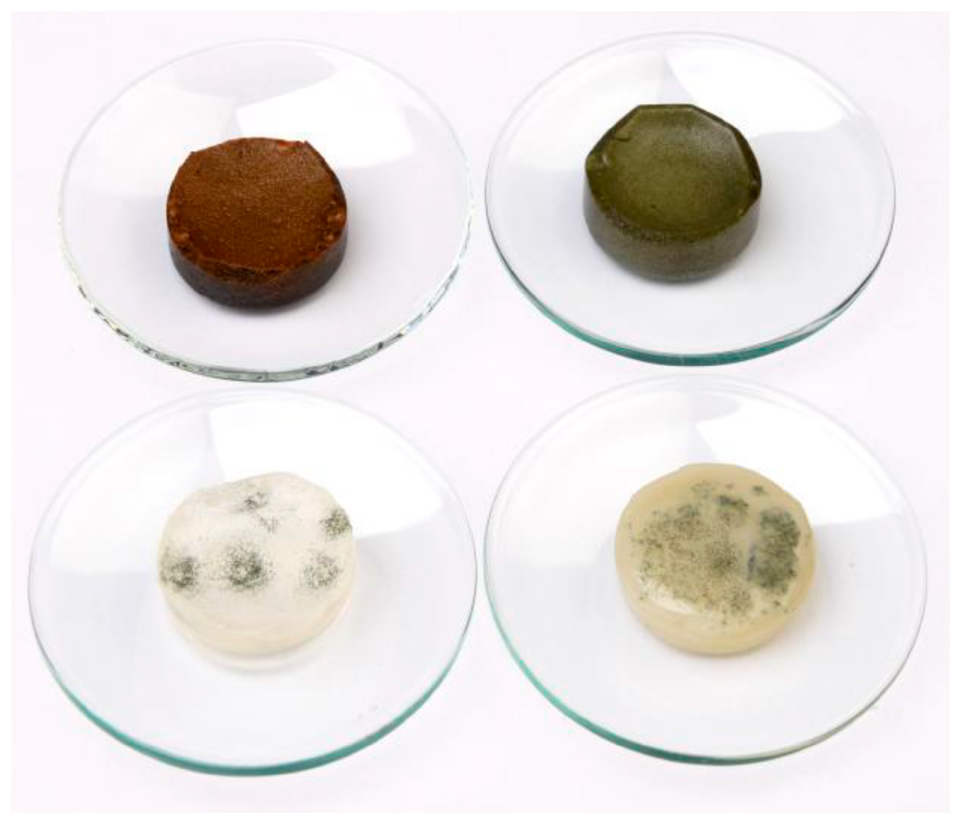 Polymers 16 02195 g010