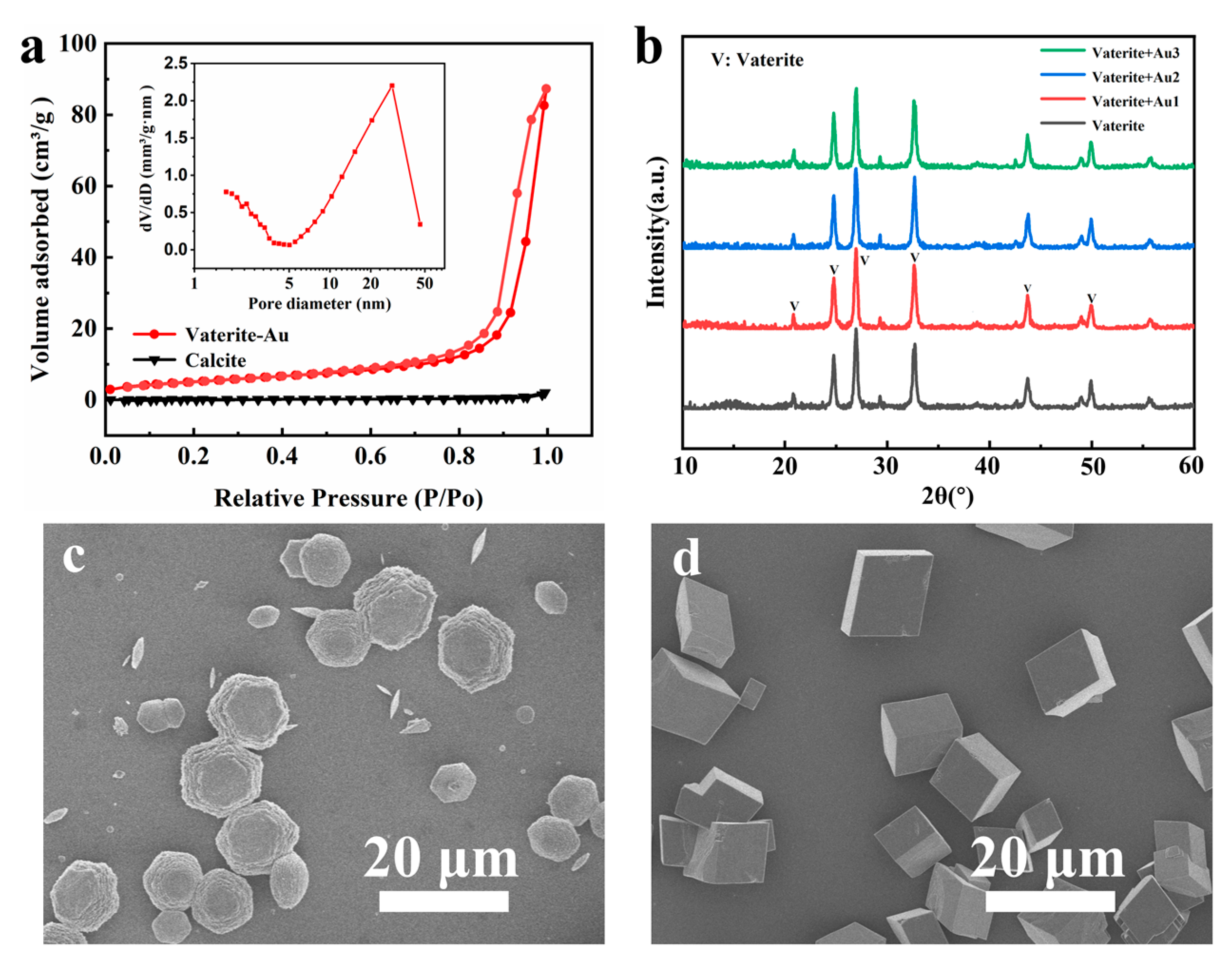 Polymers 16 02198 g002