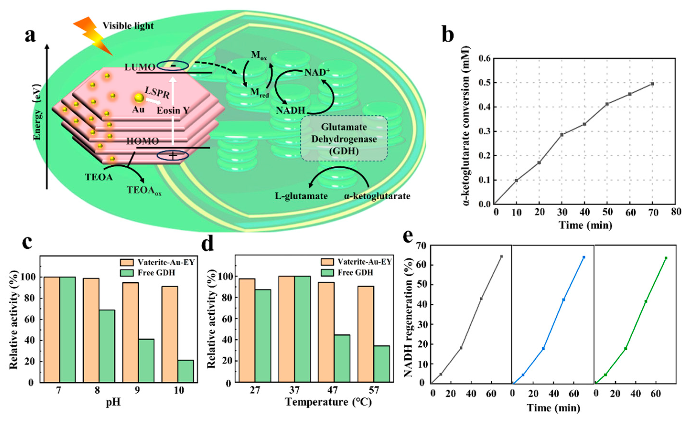 Polymers 16 02198 g005