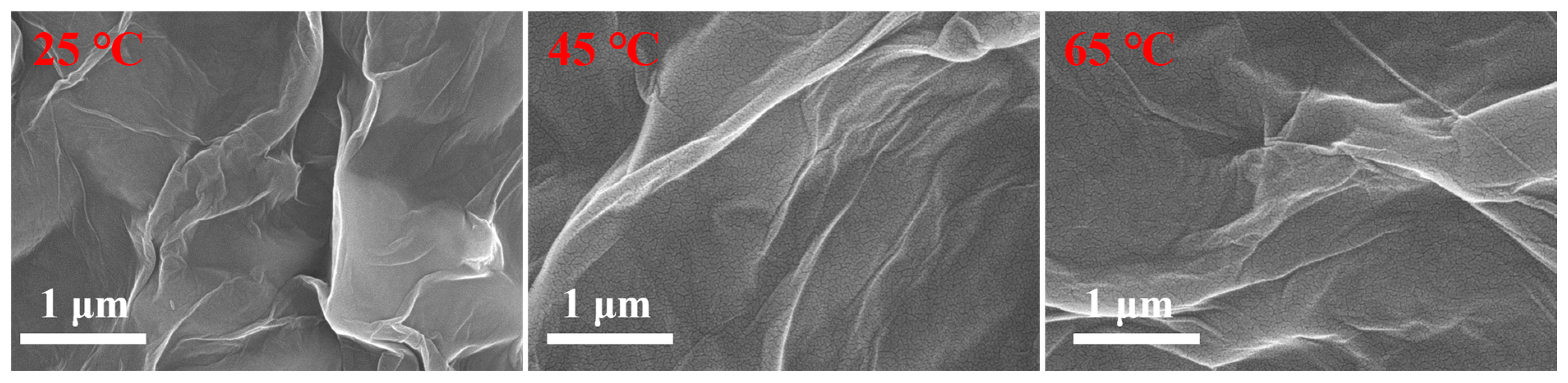 Polymers 16 02200 g006