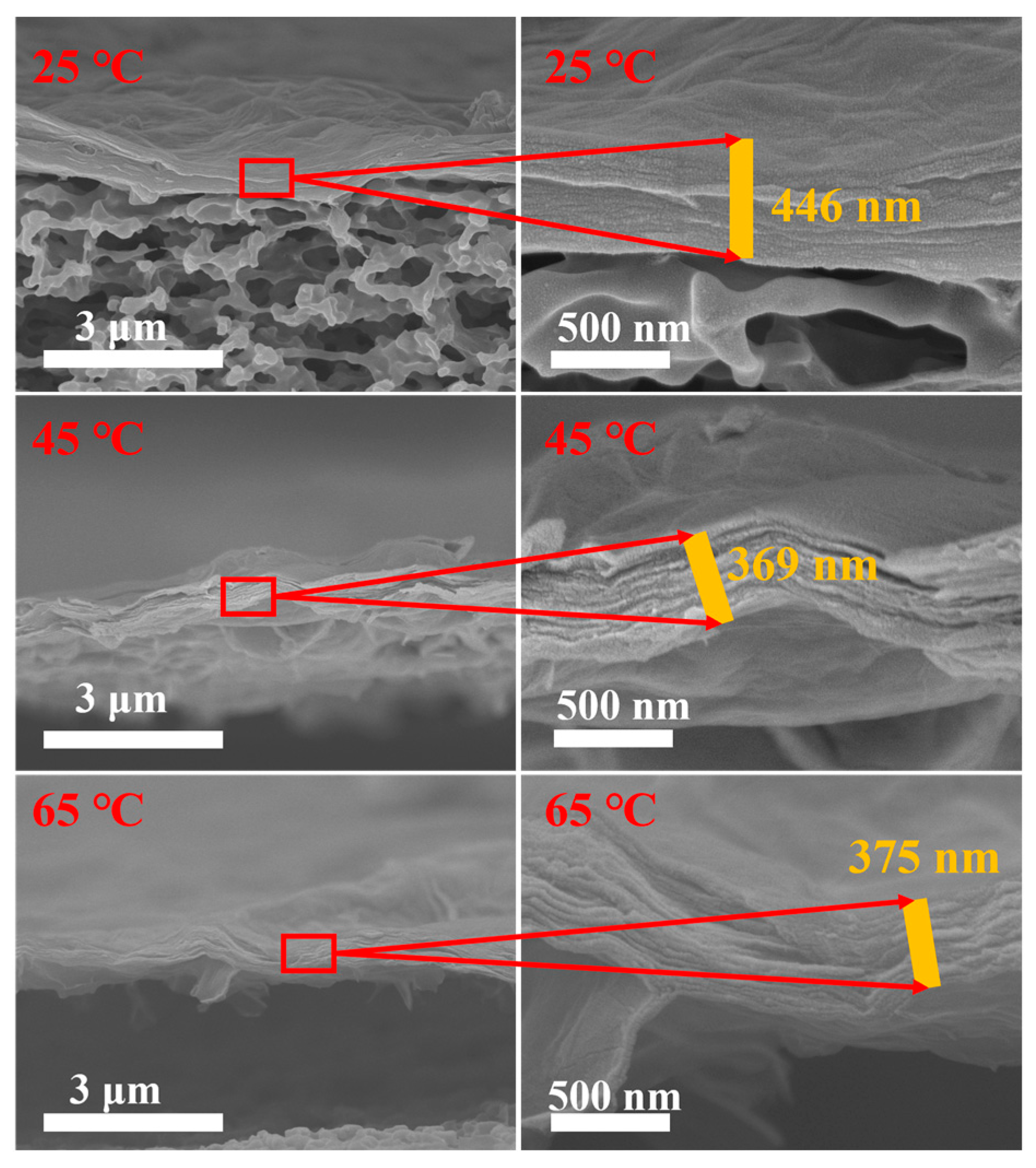 Polymers 16 02200 g007